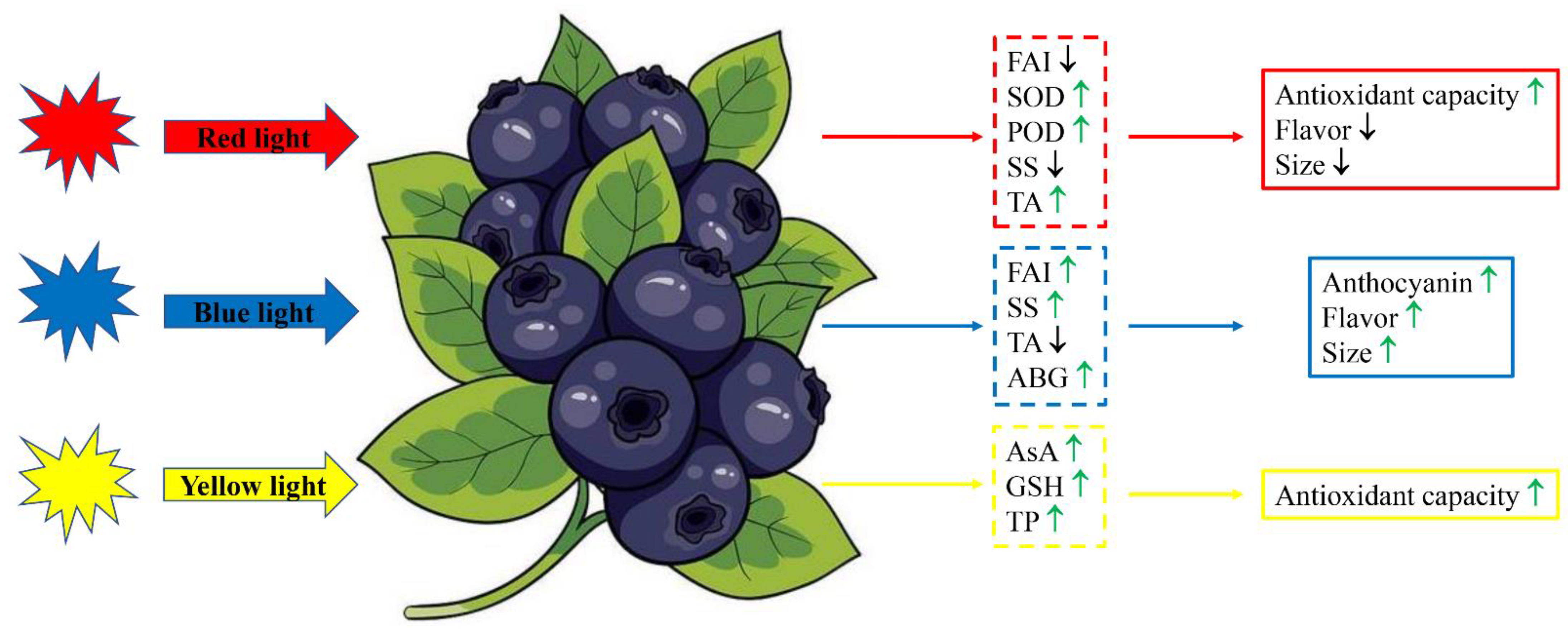 Cells 12 01225 g006 Cells 12 01225 g006