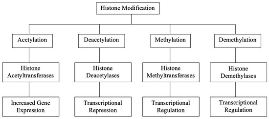 The Impact of Histone Modifications in Biology Diagrams
