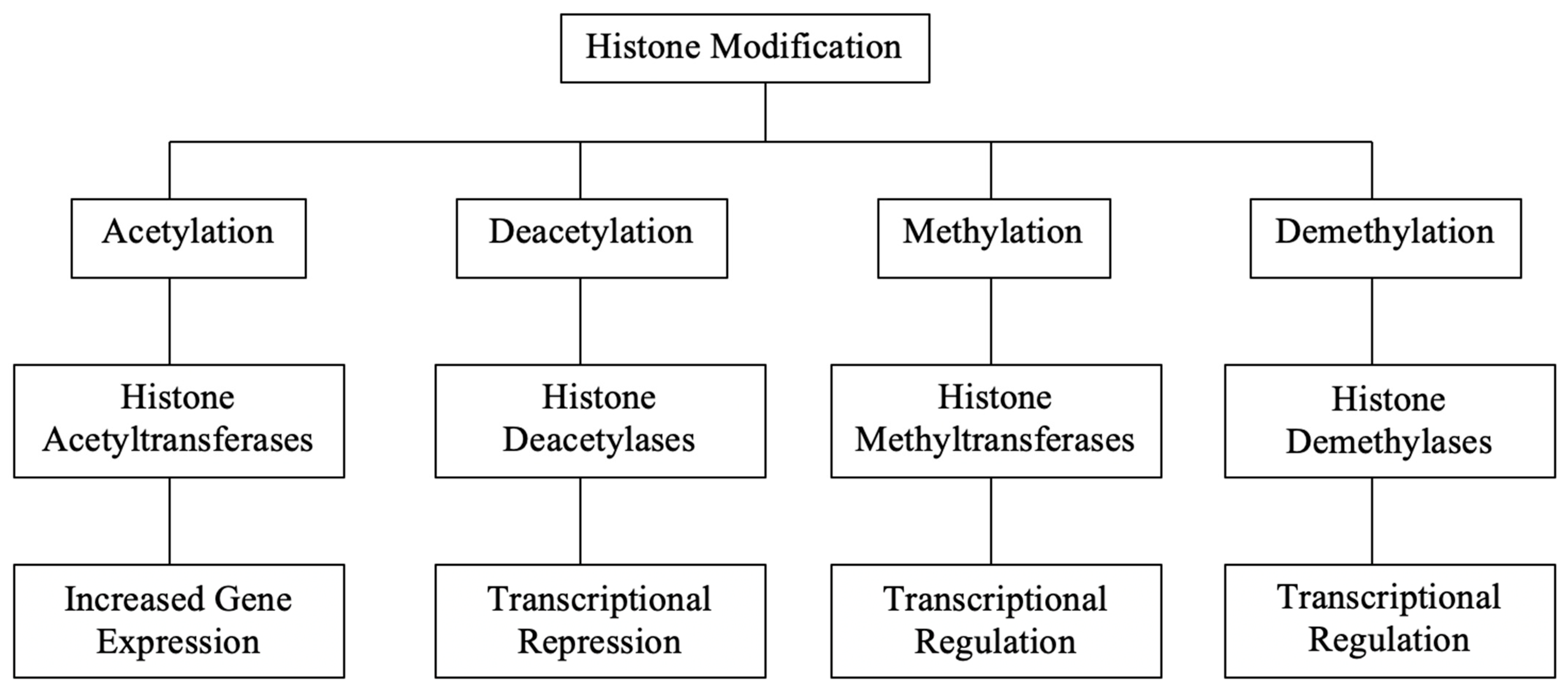 The Impact of Histone Modifications in Endometriosis Highlights New ... Biology Diagrams
