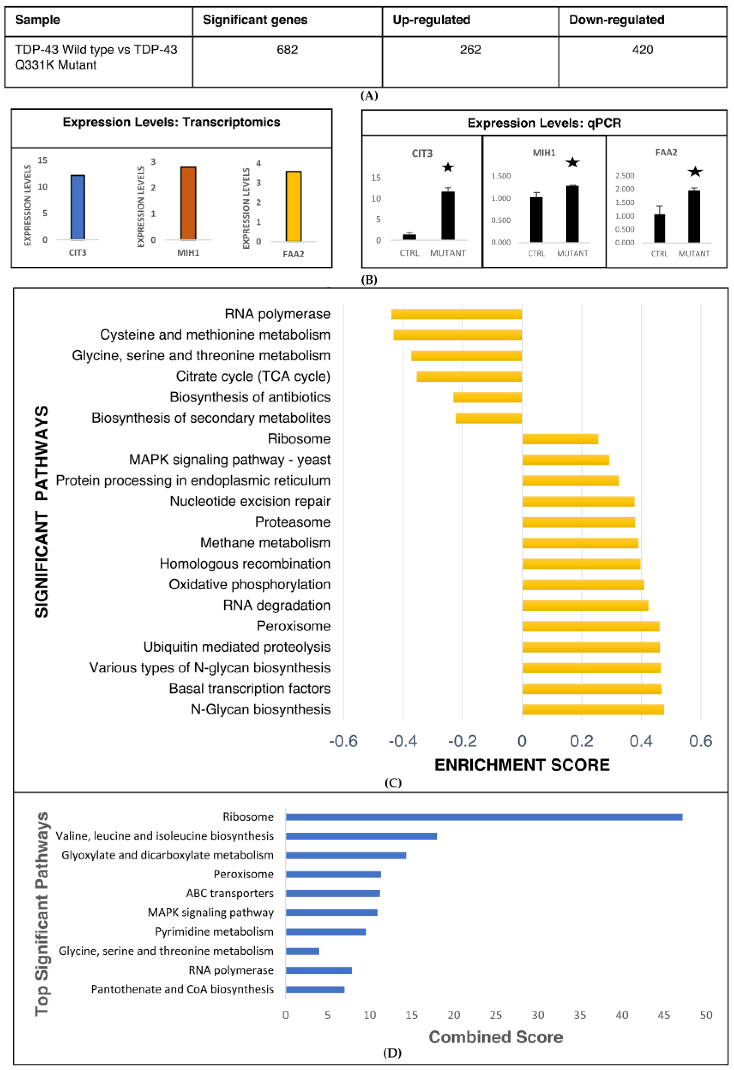 Cells 12 01228 g002 Cells 12 01228 g002