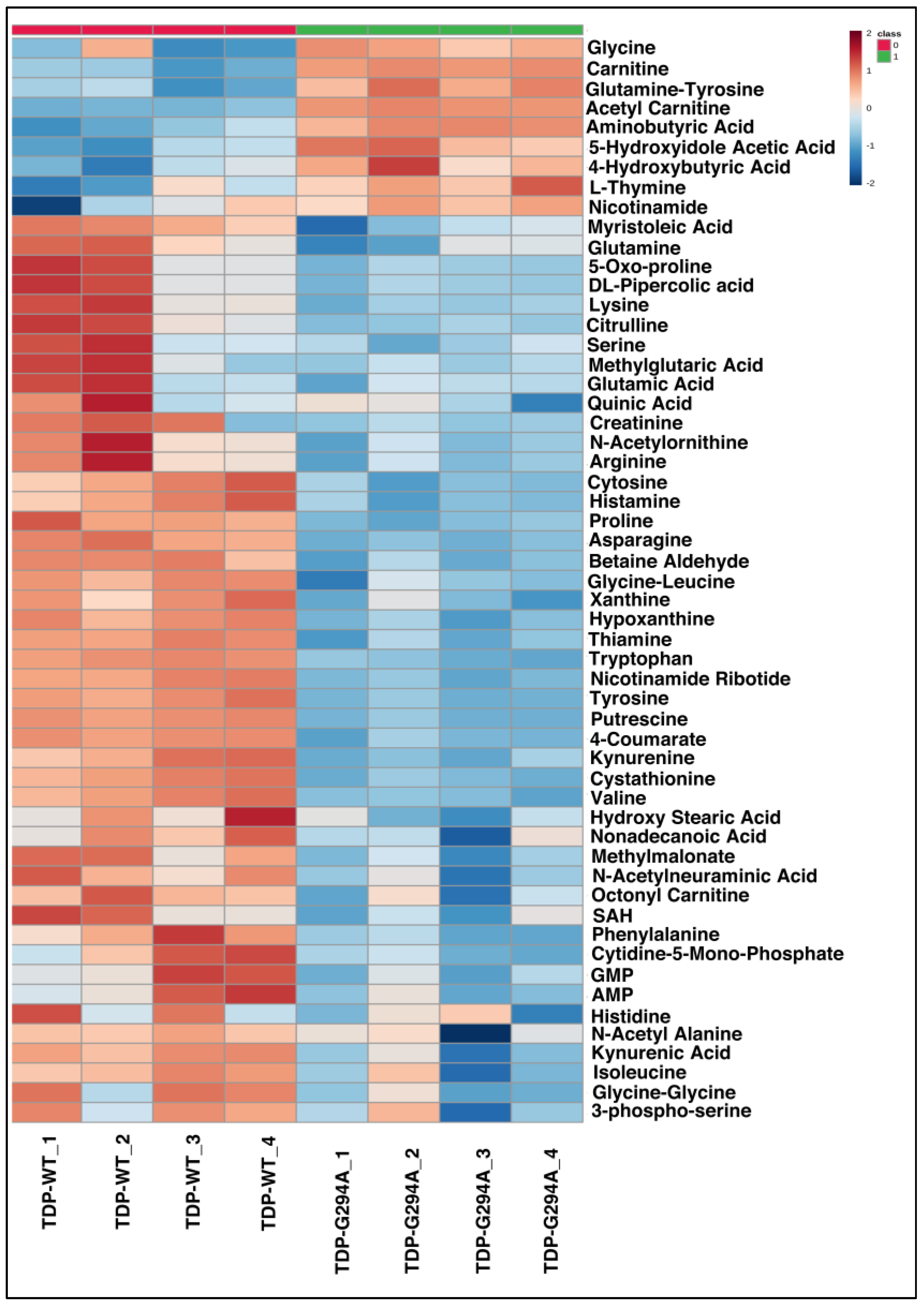 Cells 12 01228 g004 Cells 12 01228 g004