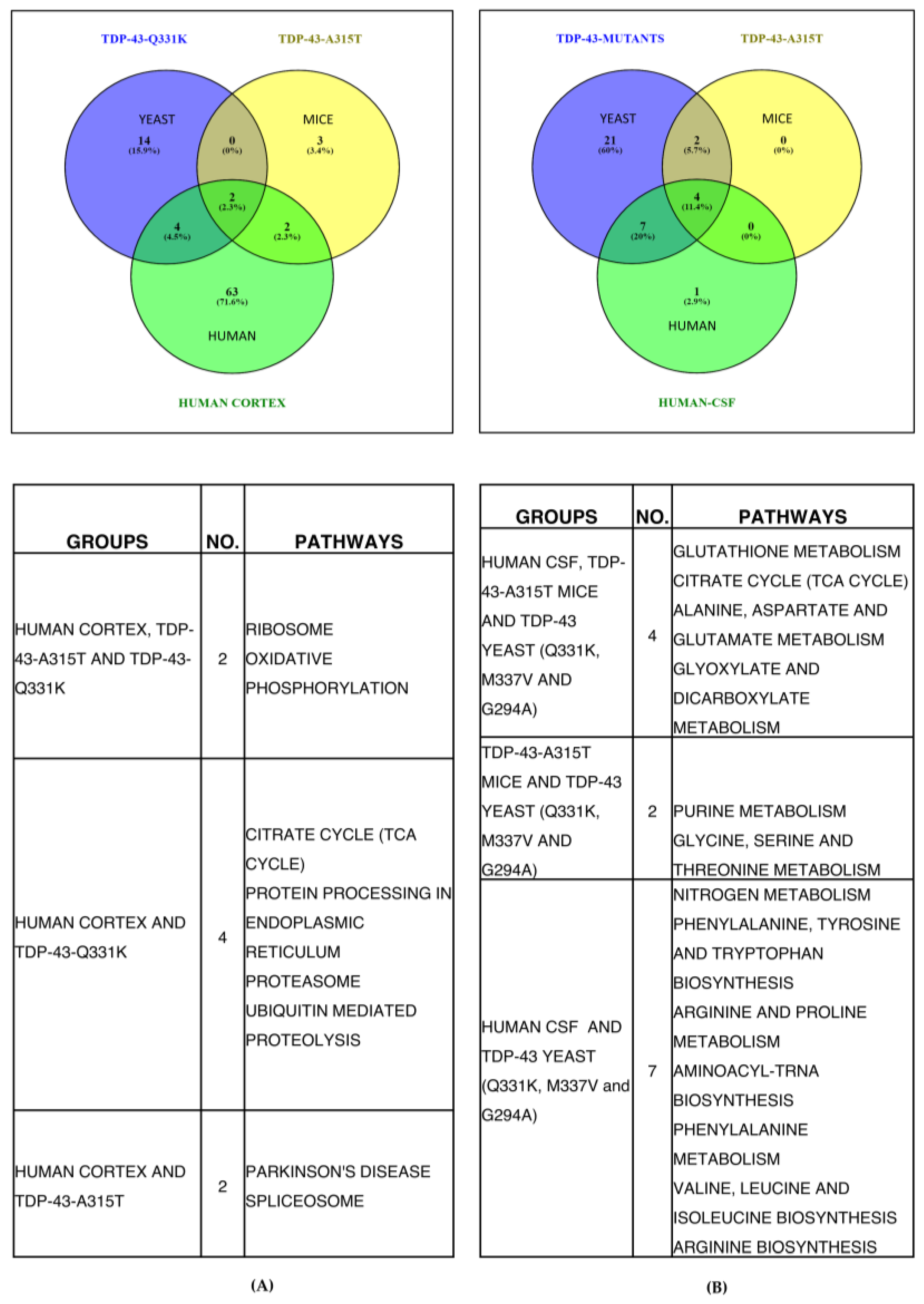 Cells 12 01228 g007 Cells 12 01228 g007
