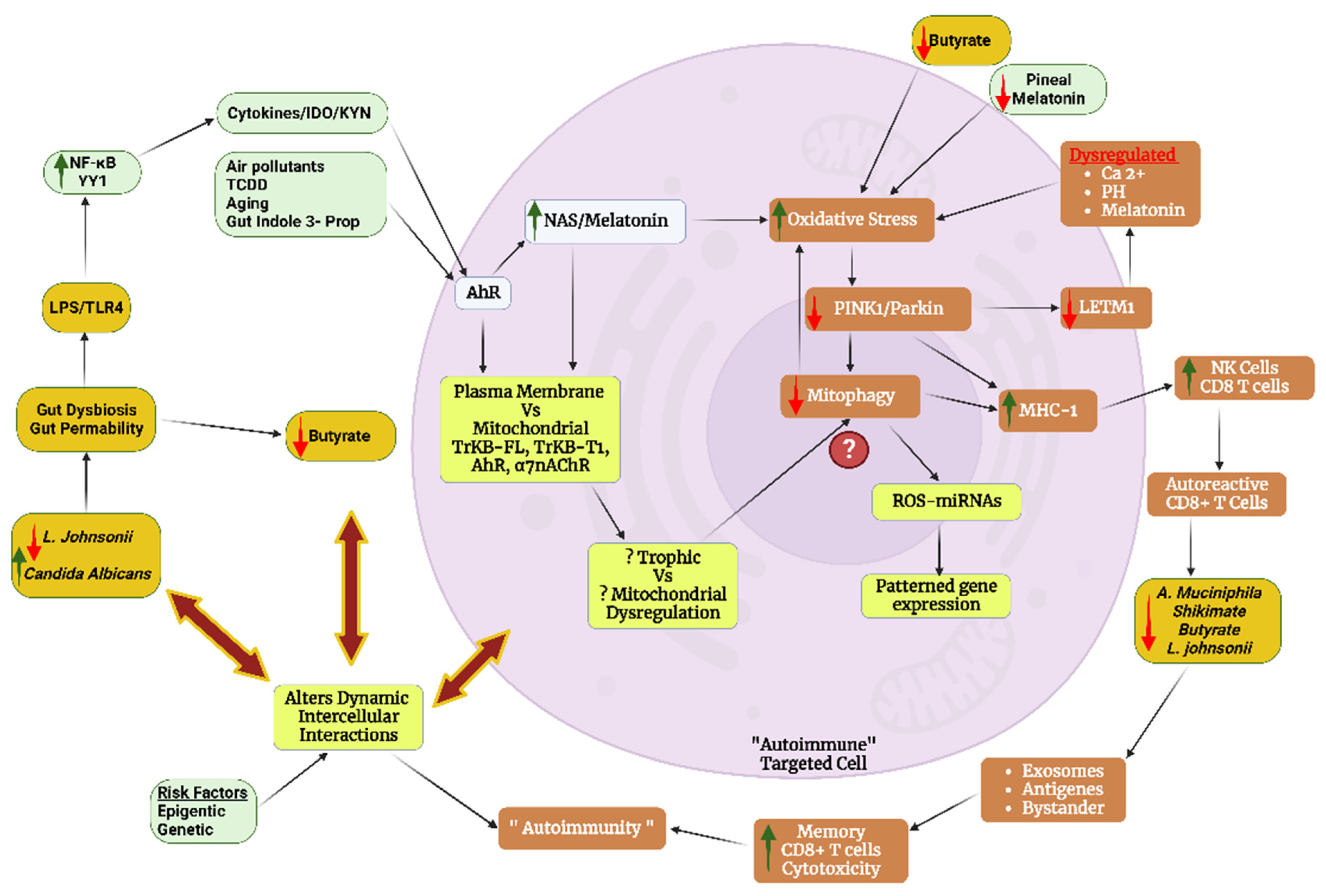 Cells 12 01237 g006 Cells 12 01237 g006
