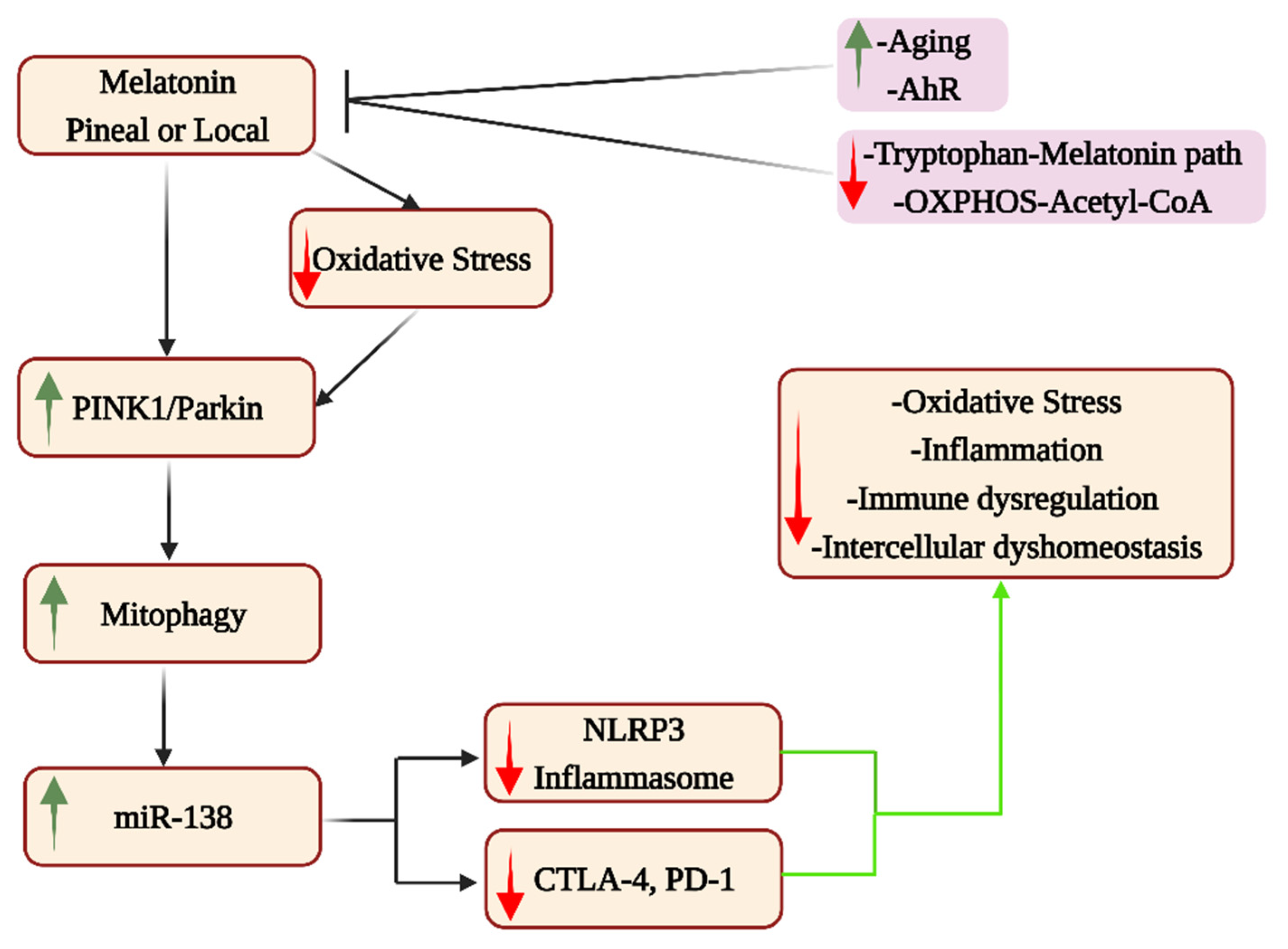 Cells 12 01237 g007 Cells 12 01237 g007