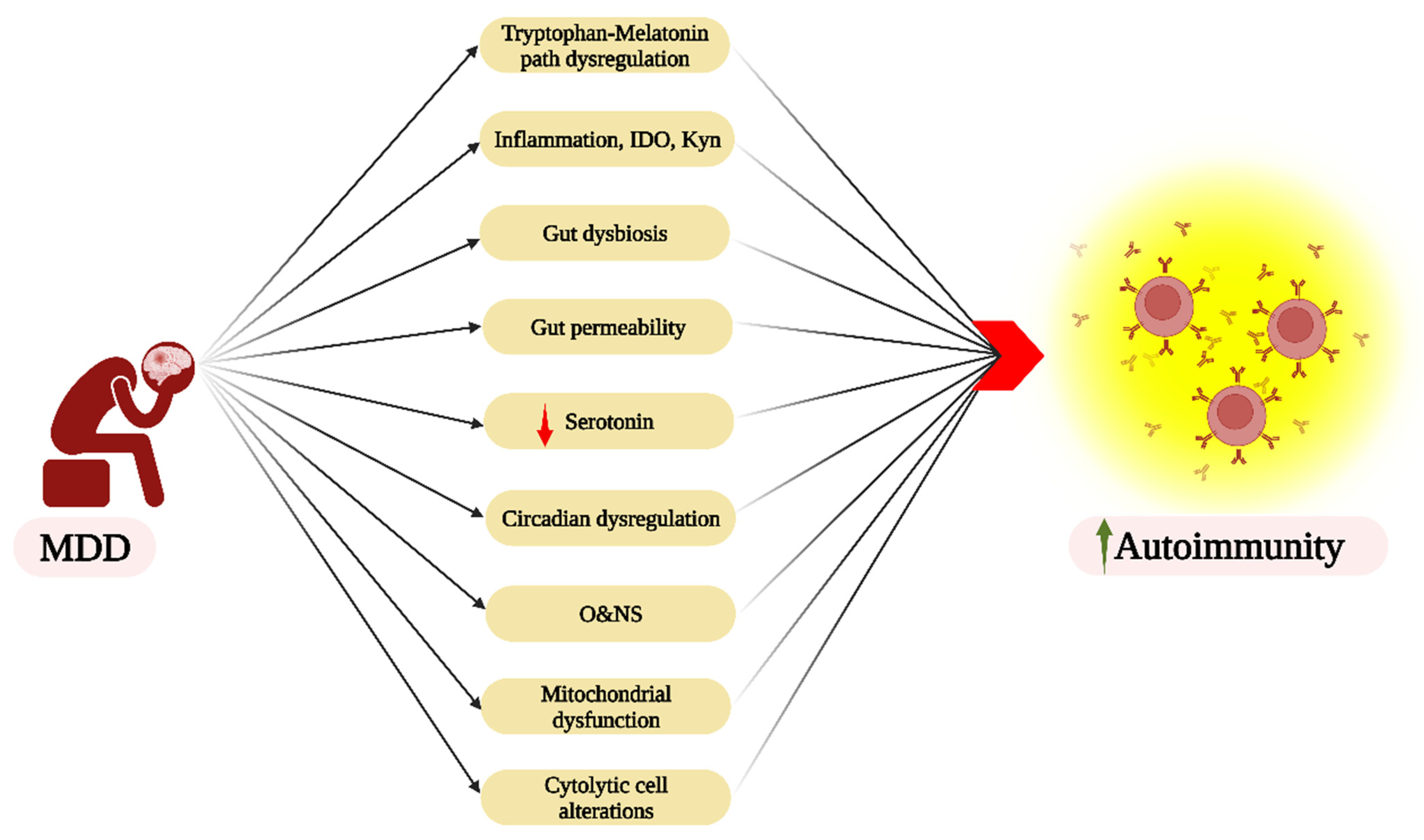 Cells 12 01237 g008 Cells 12 01237 g008