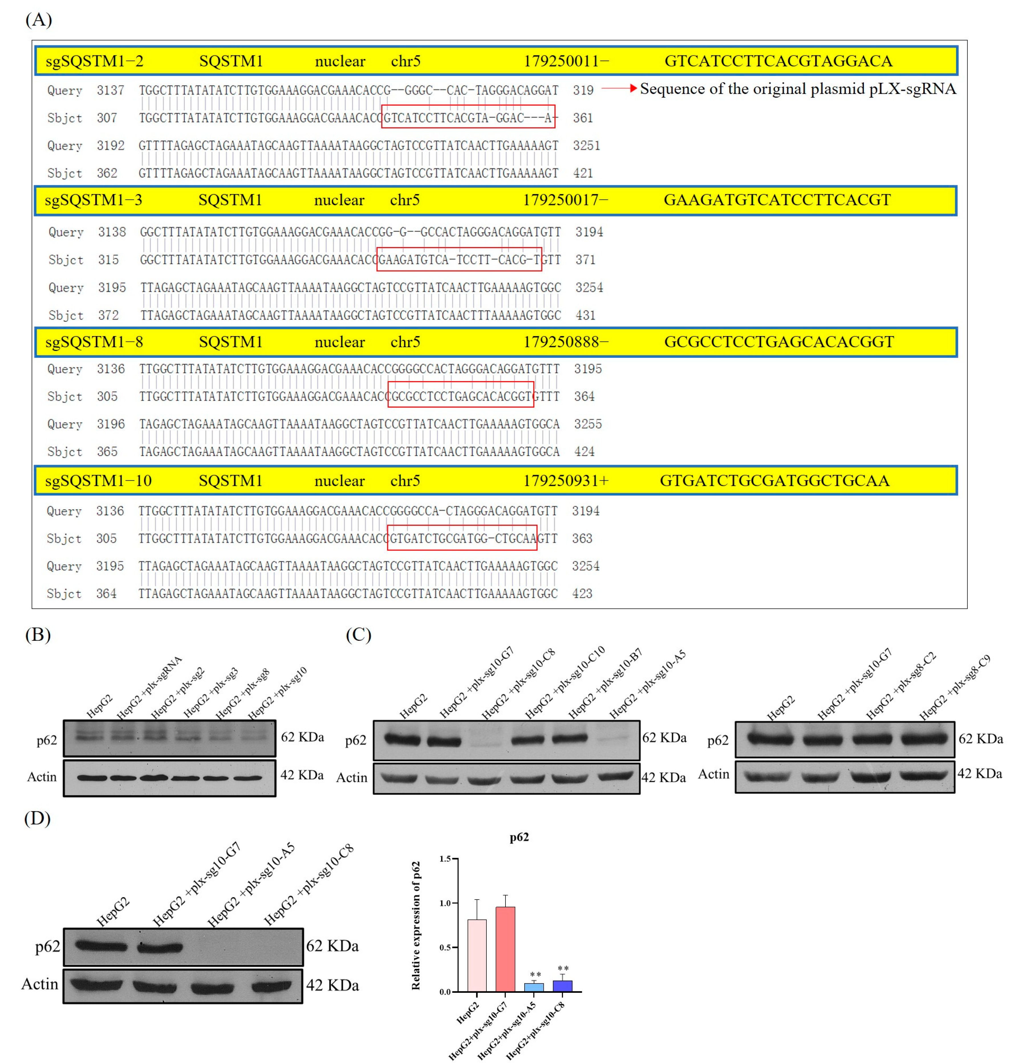 Cells 12 01238 g002 Cells 12 01238 g002