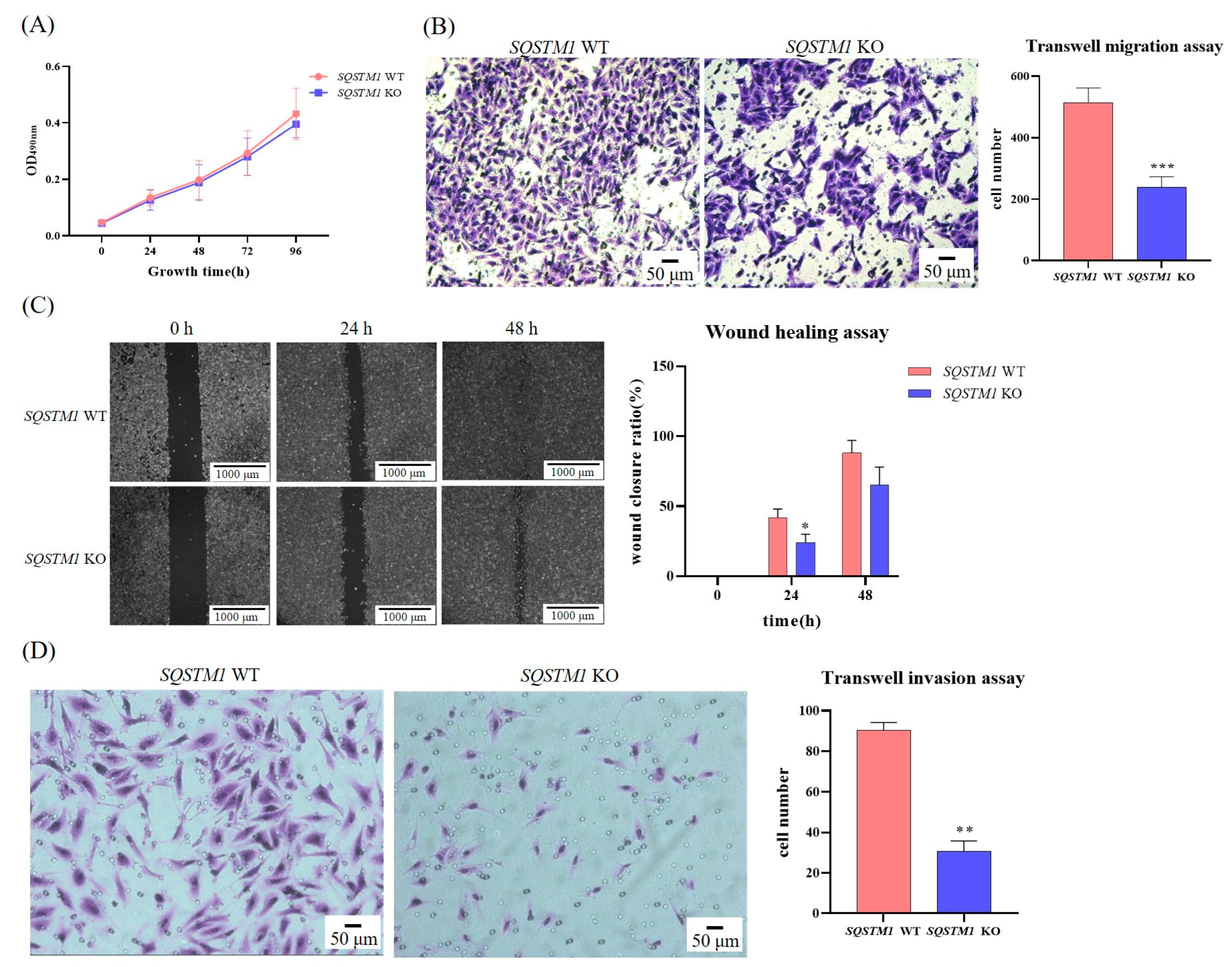 Cells 12 01238 g003 Cells 12 01238 g003