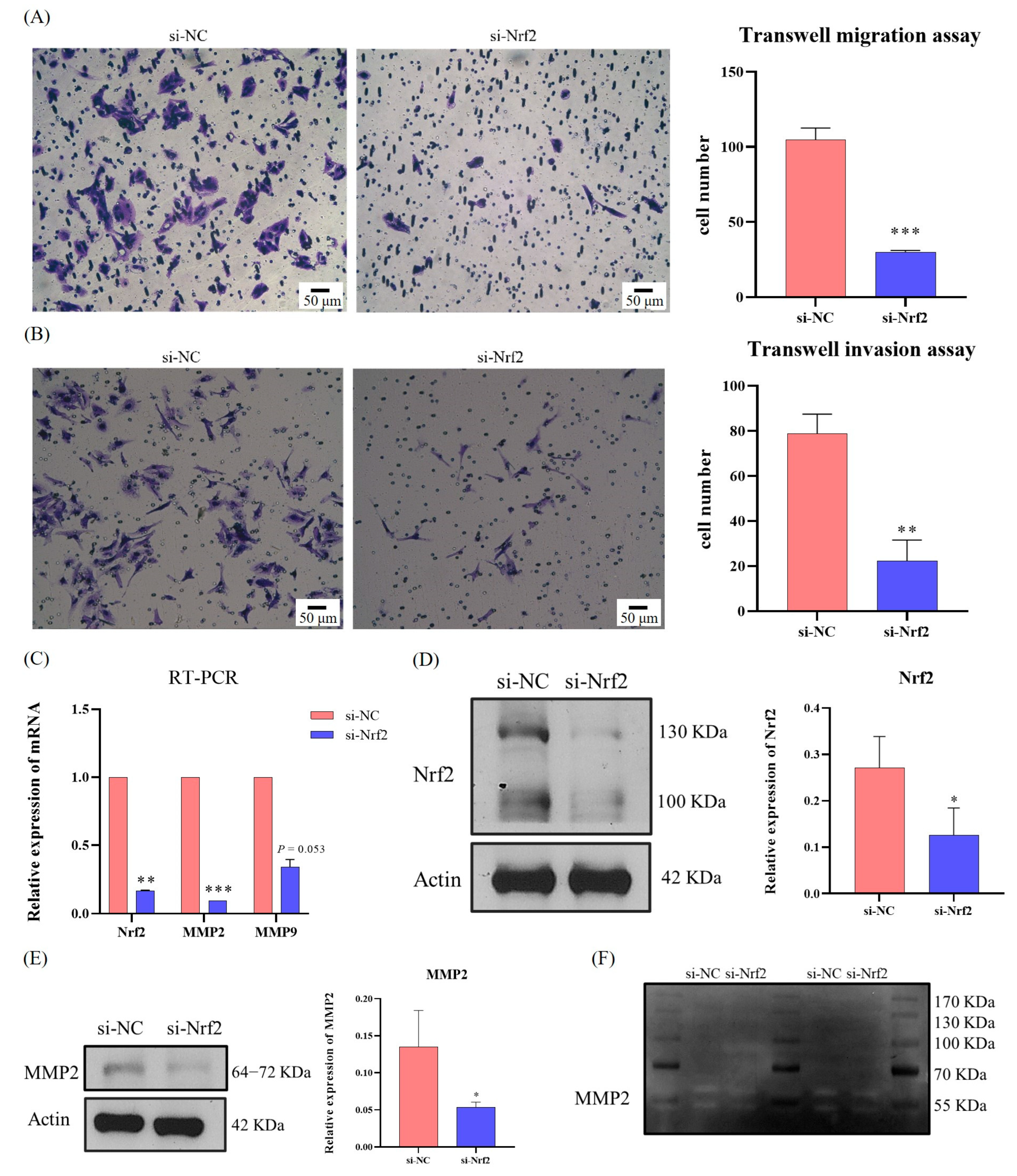 Cells 12 01238 g005 Cells 12 01238 g005