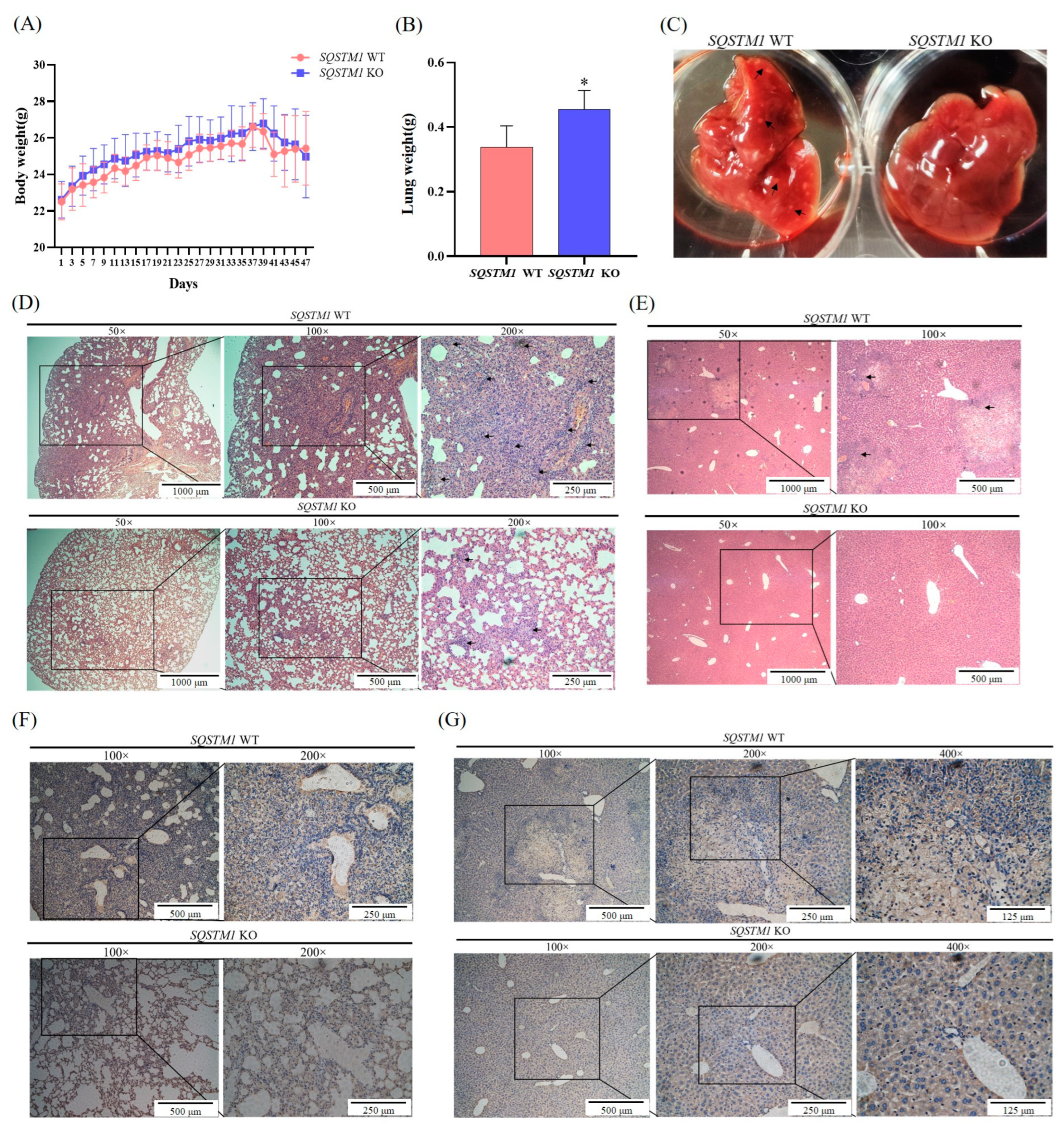 Cells 12 01238 g006 Cells 12 01238 g006