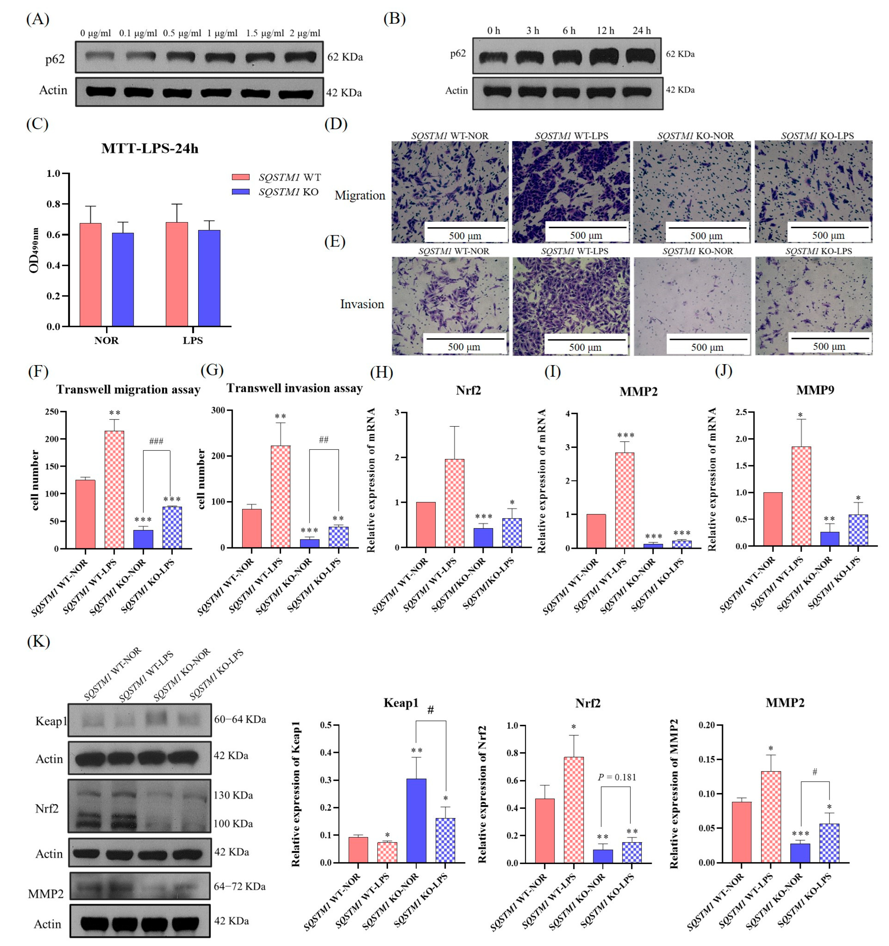 Cells 12 01238 g008 Cells 12 01238 g008