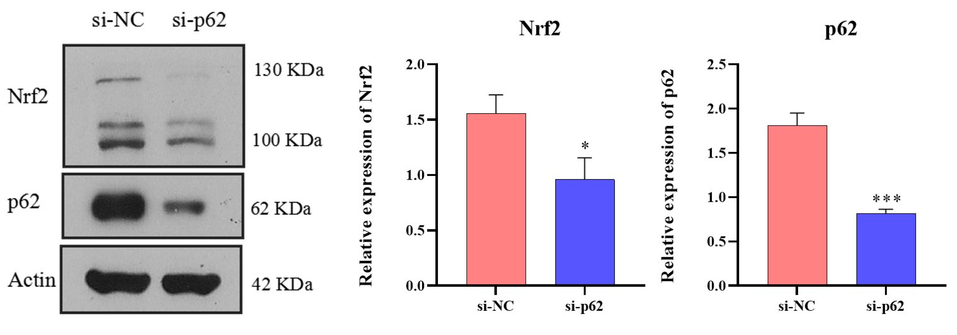 Cells 12 01238 g0a4 Cells 12 01238 g0a4