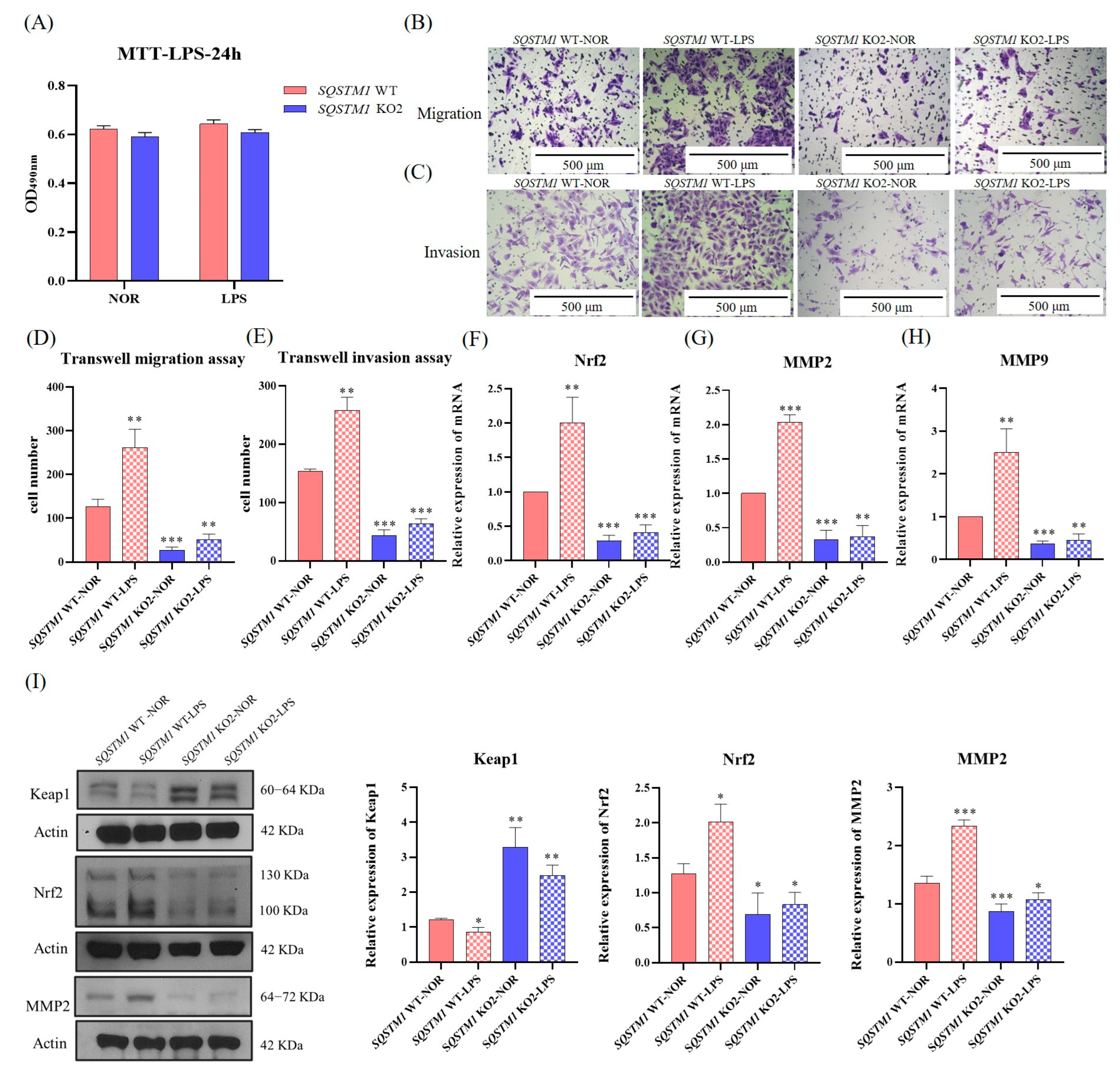 Cells 12 01238 g0a5 Cells 12 01238 g0a5