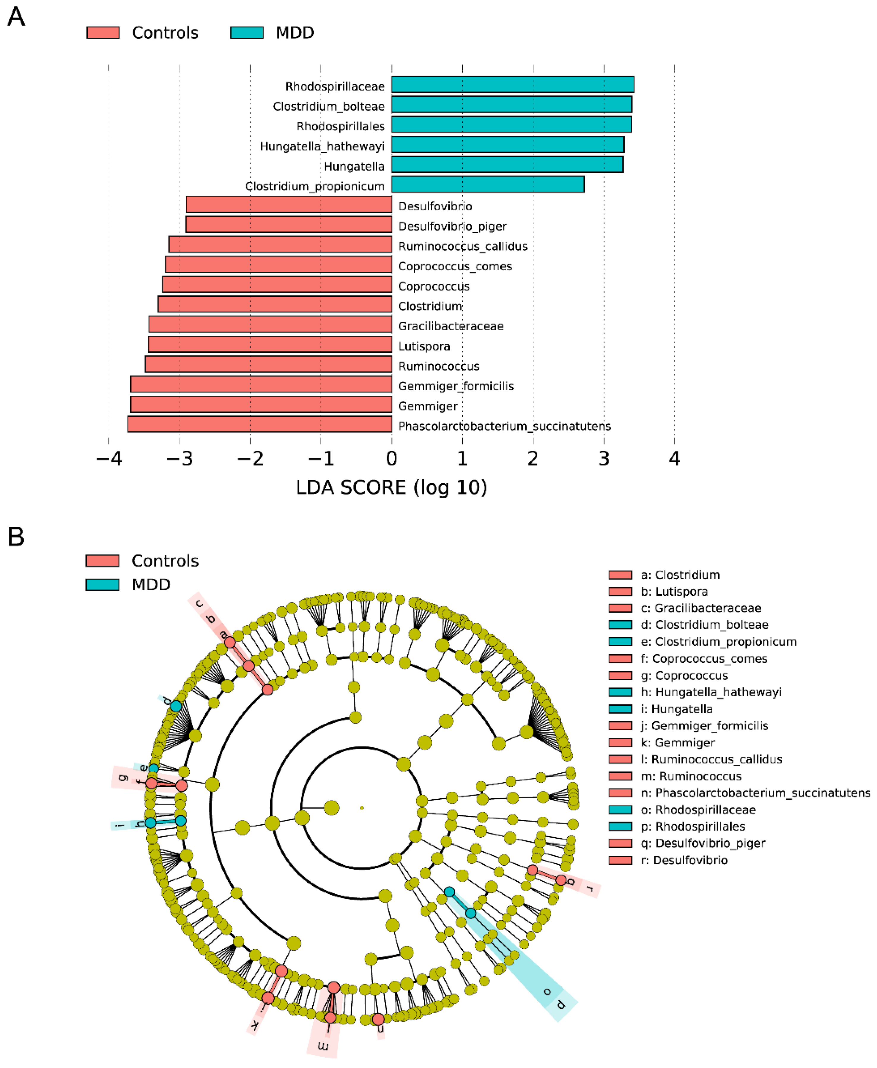 Cells 12 01240 g003 Cells 12 01240 g003