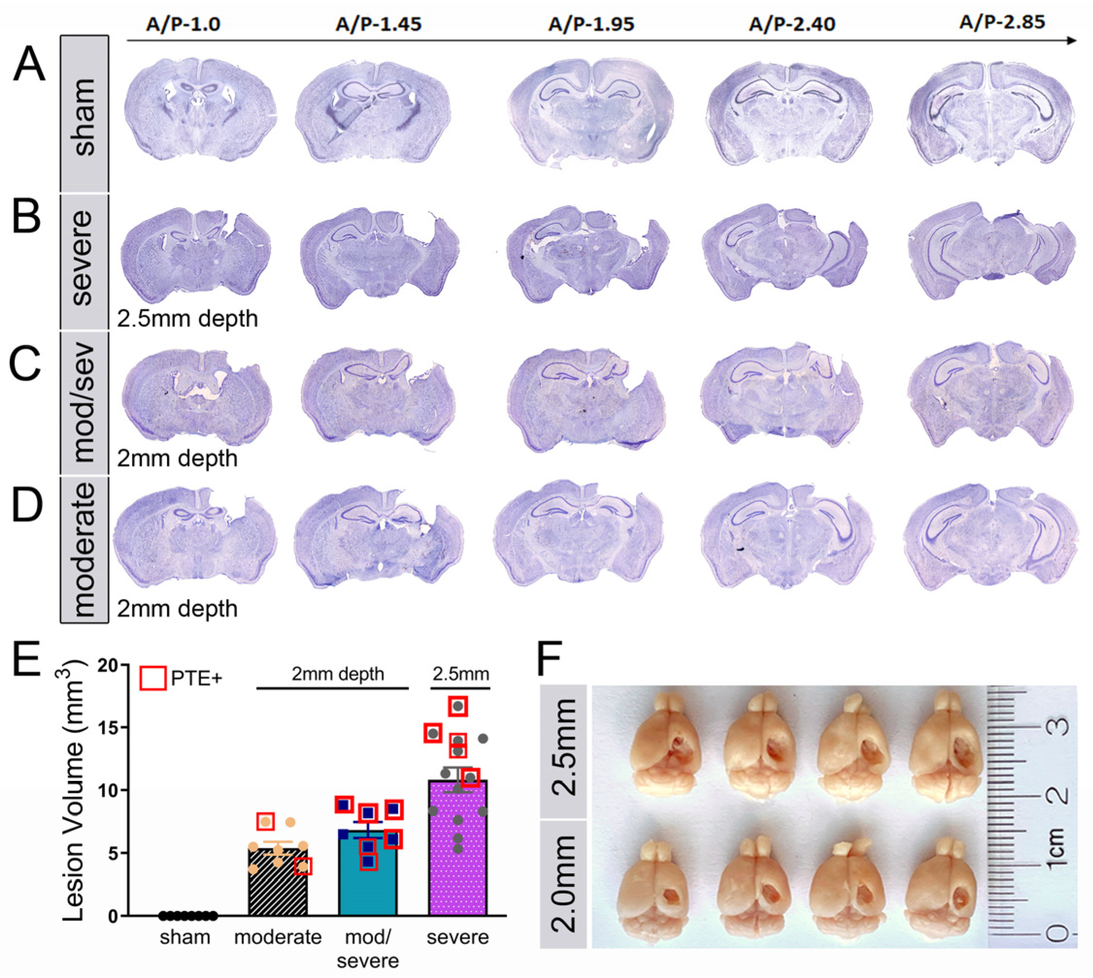 Cells 12 01248 g002 Cells 12 01248 g002