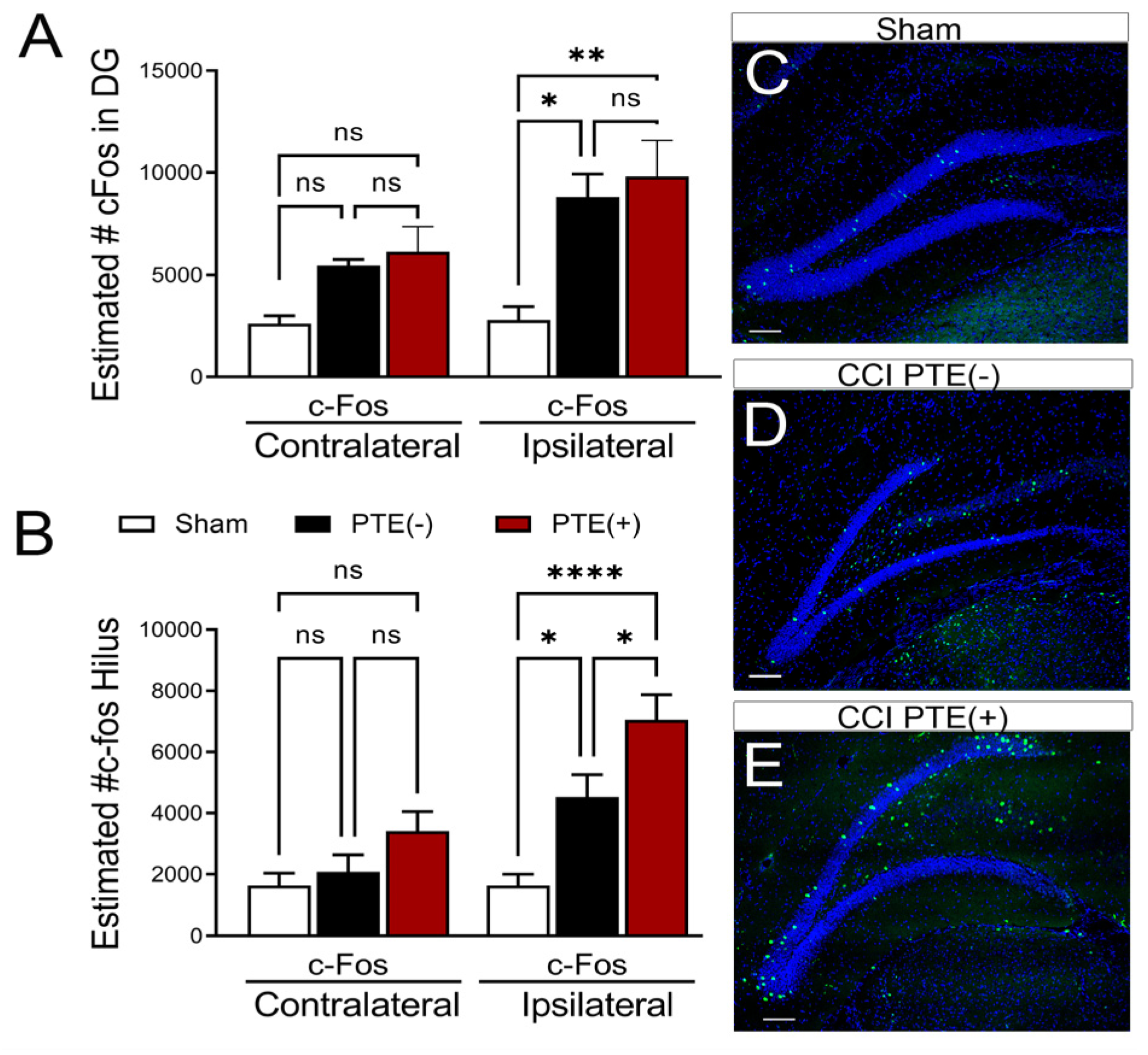 Cells 12 01248 g004 Cells 12 01248 g004