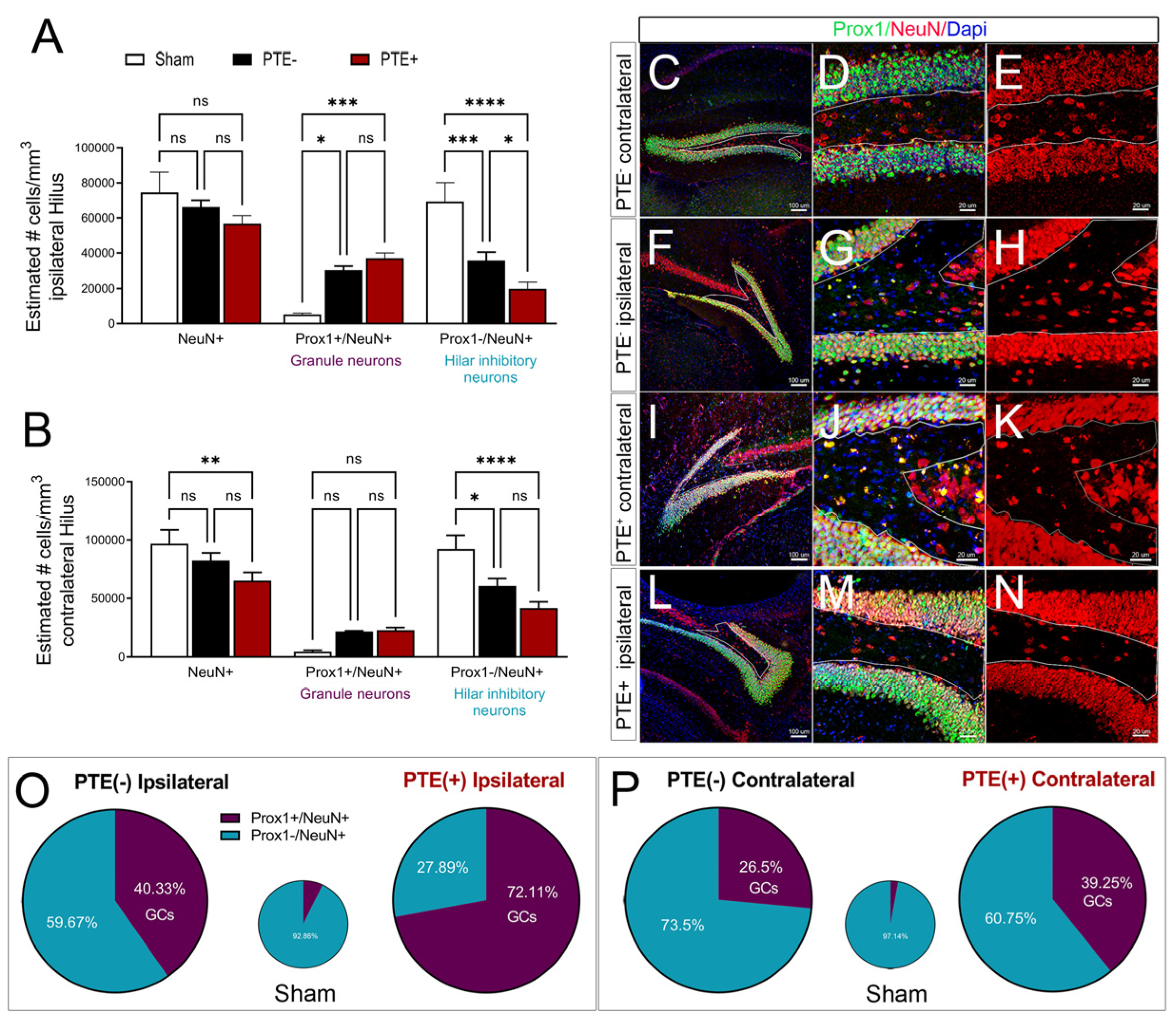 Cells 12 01248 g005 Cells 12 01248 g005