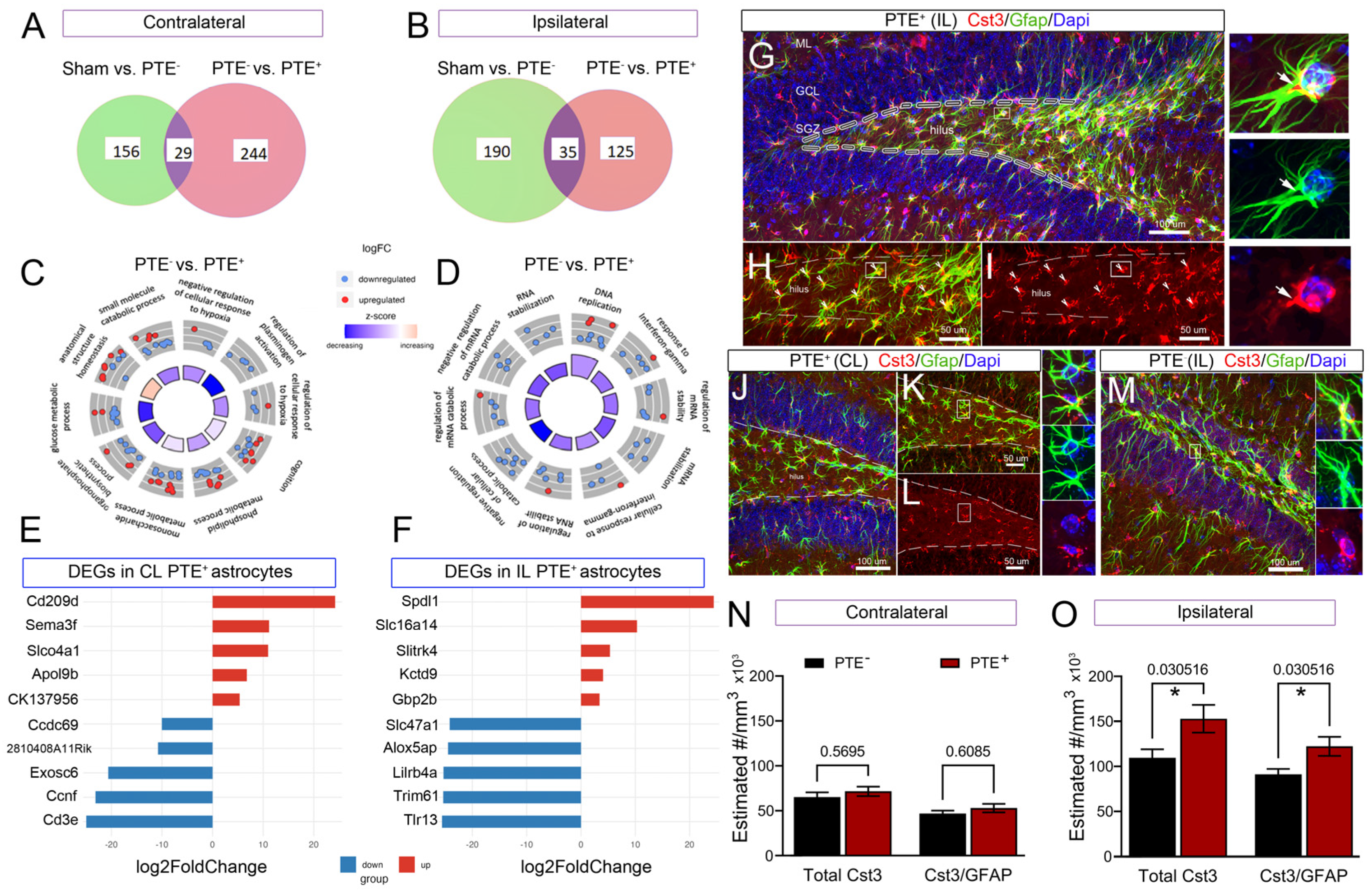 Cells 12 01248 g007 Cells 12 01248 g007