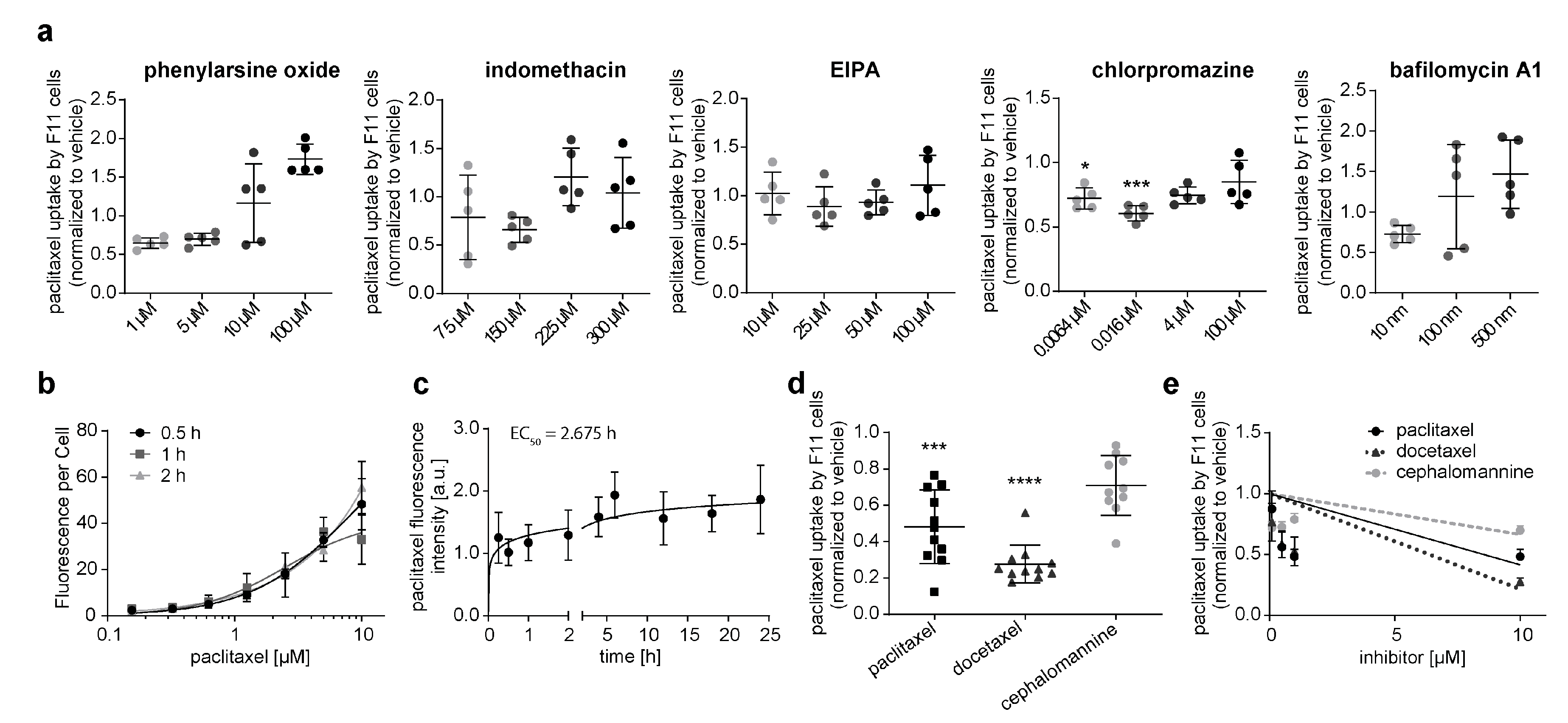 Cells 12 01249 g001 Cells 12 01249 g001
