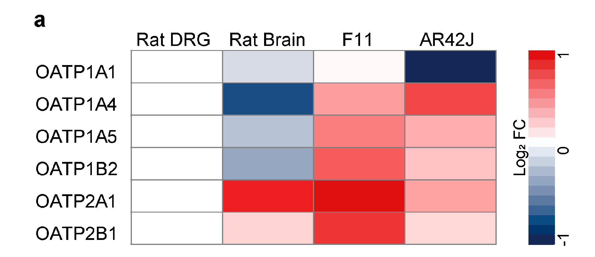 Cells 12 01249 g002a Cells 12 01249 g002a