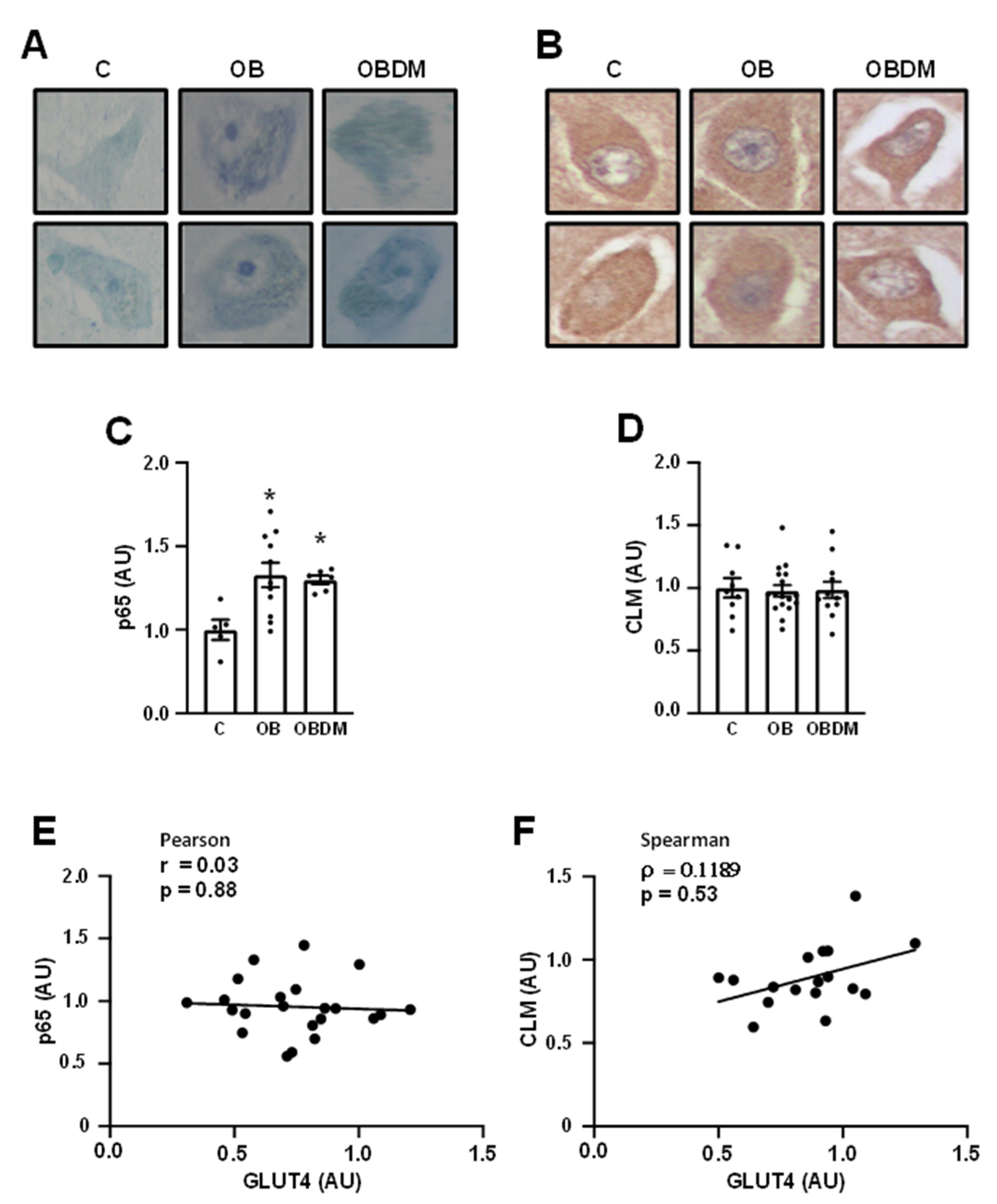 Cells 12 01250 g003 Cells 12 01250 g003