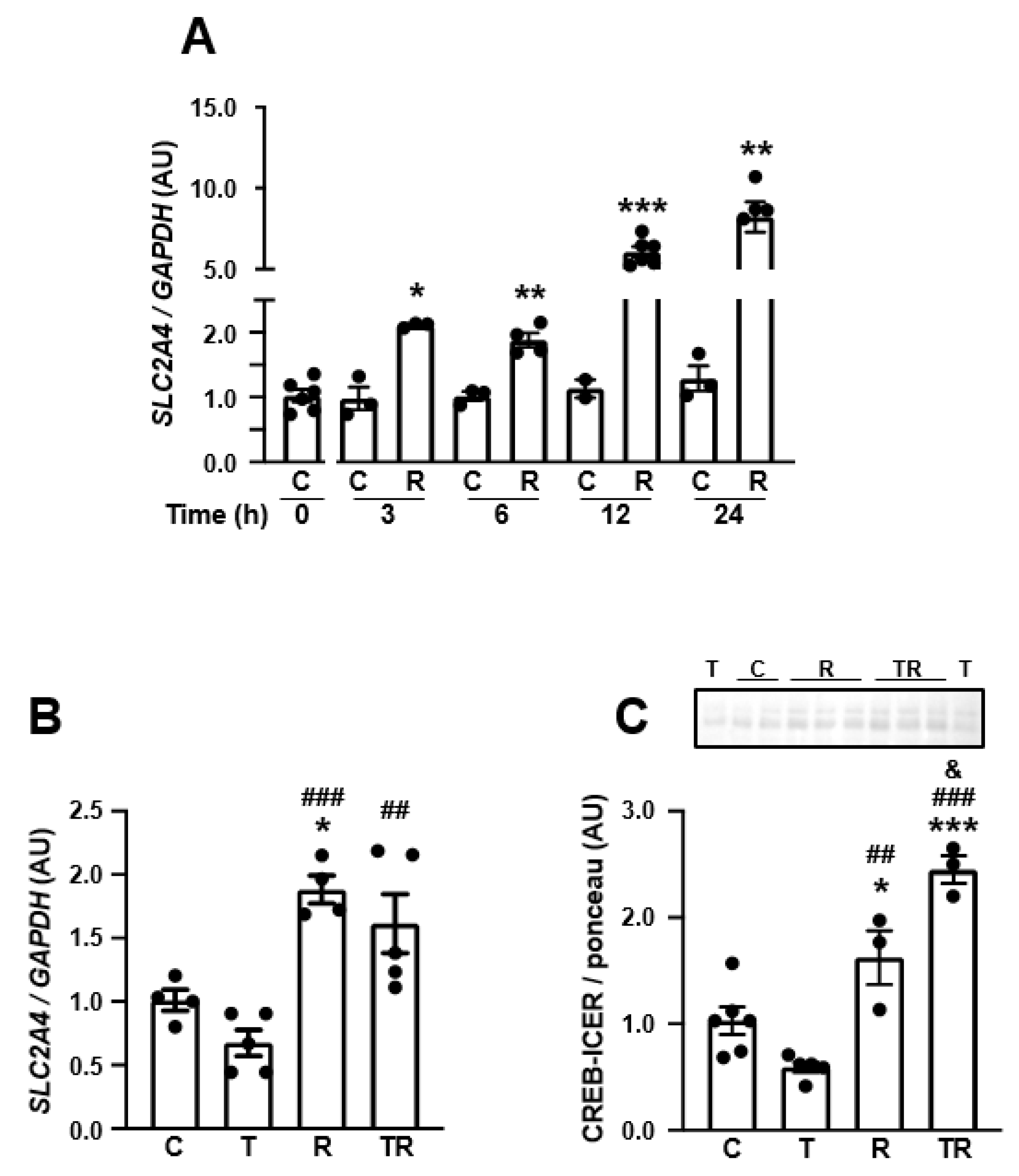 Cells 12 01250 g006 Cells 12 01250 g006