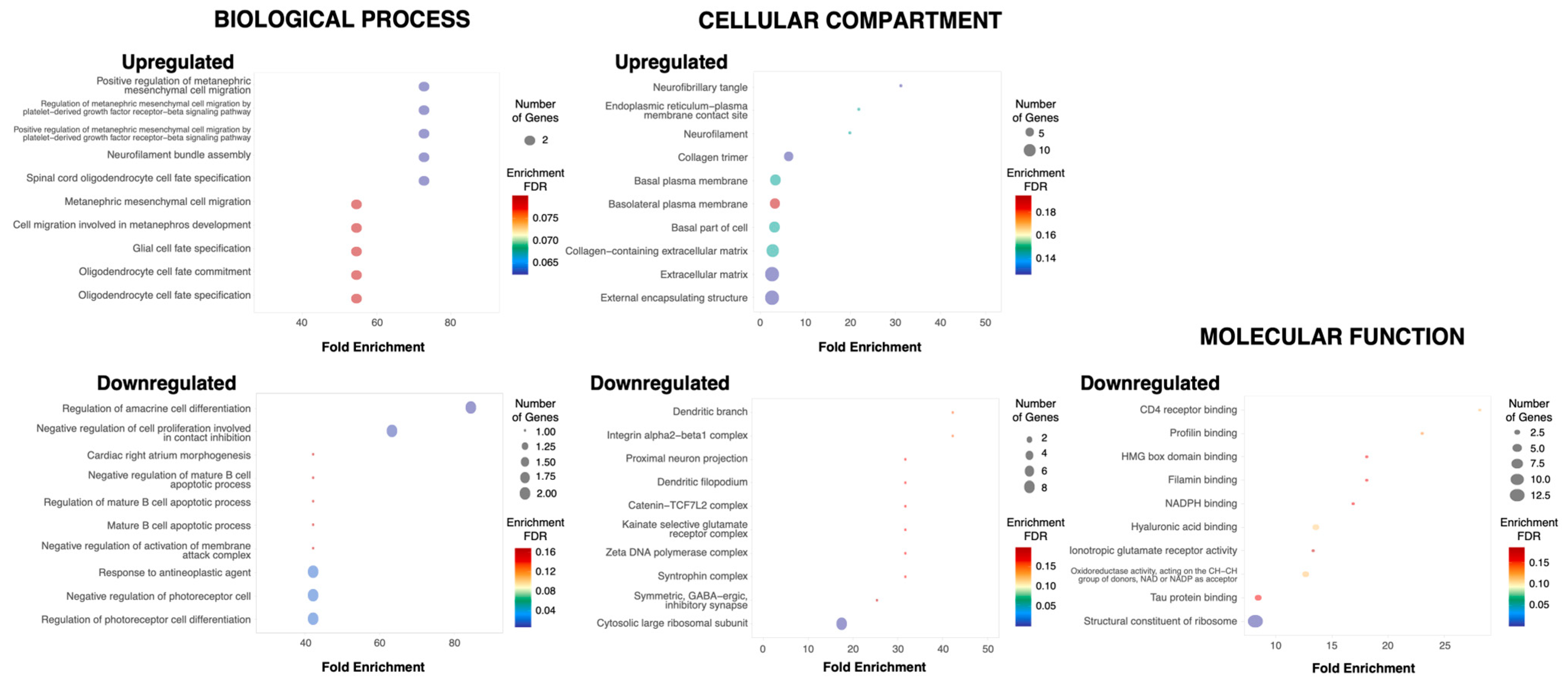 Cells 12 01252 g004 Cells 12 01252 g004