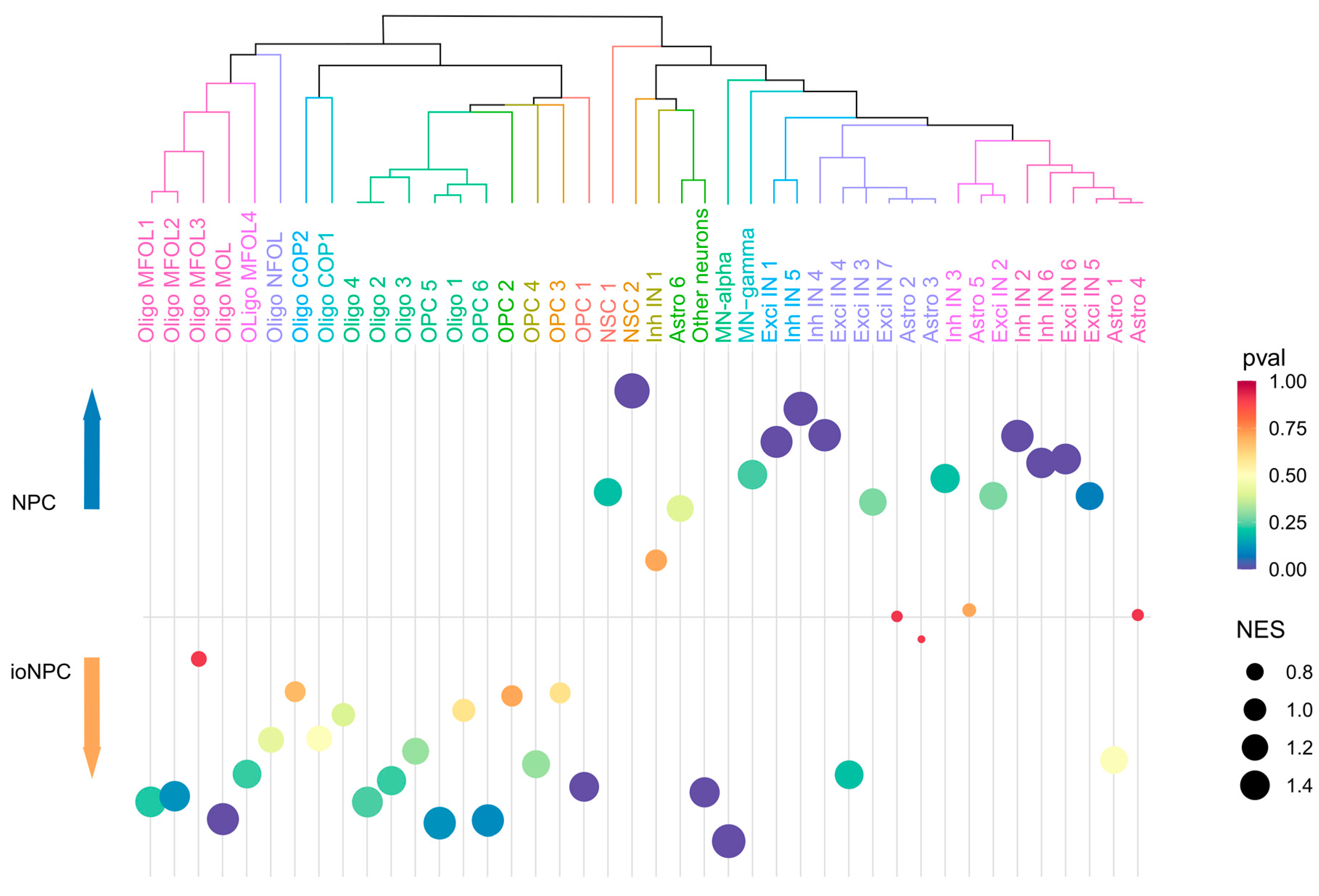 Cells 12 01252 g005 Cells 12 01252 g005