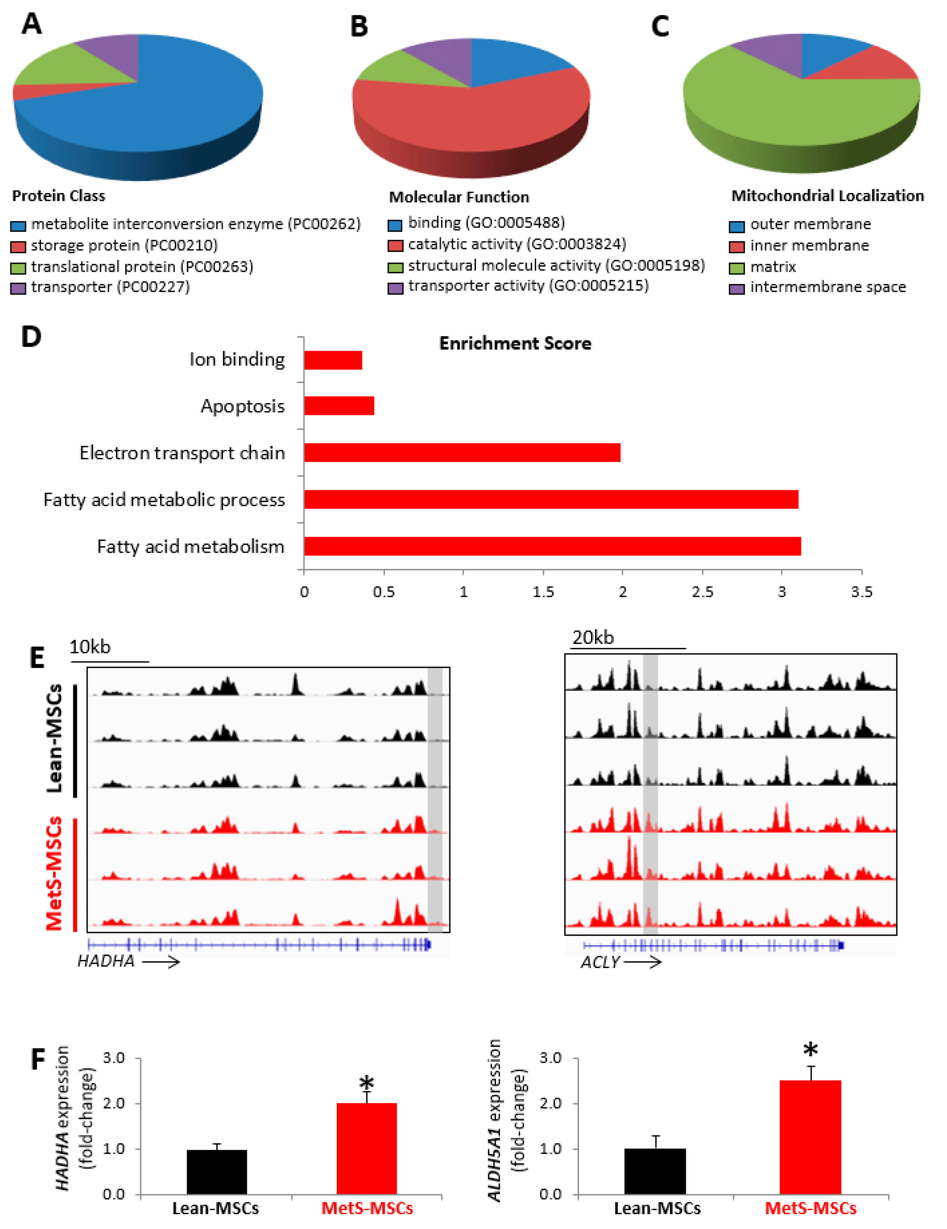 Cells 12 01274 g002 Cells 12 01274 g002