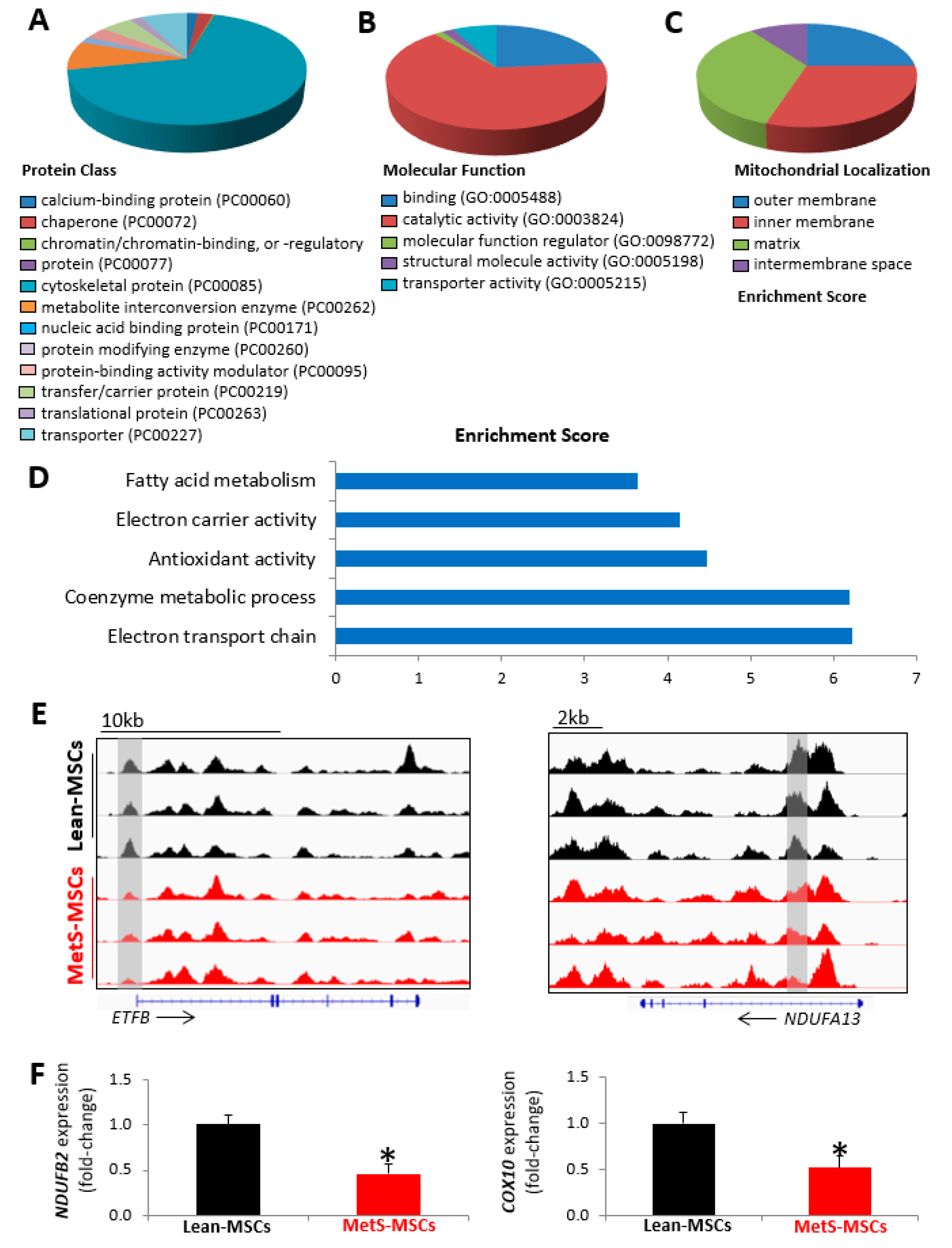 Cells 12 01274 g003 Cells 12 01274 g003