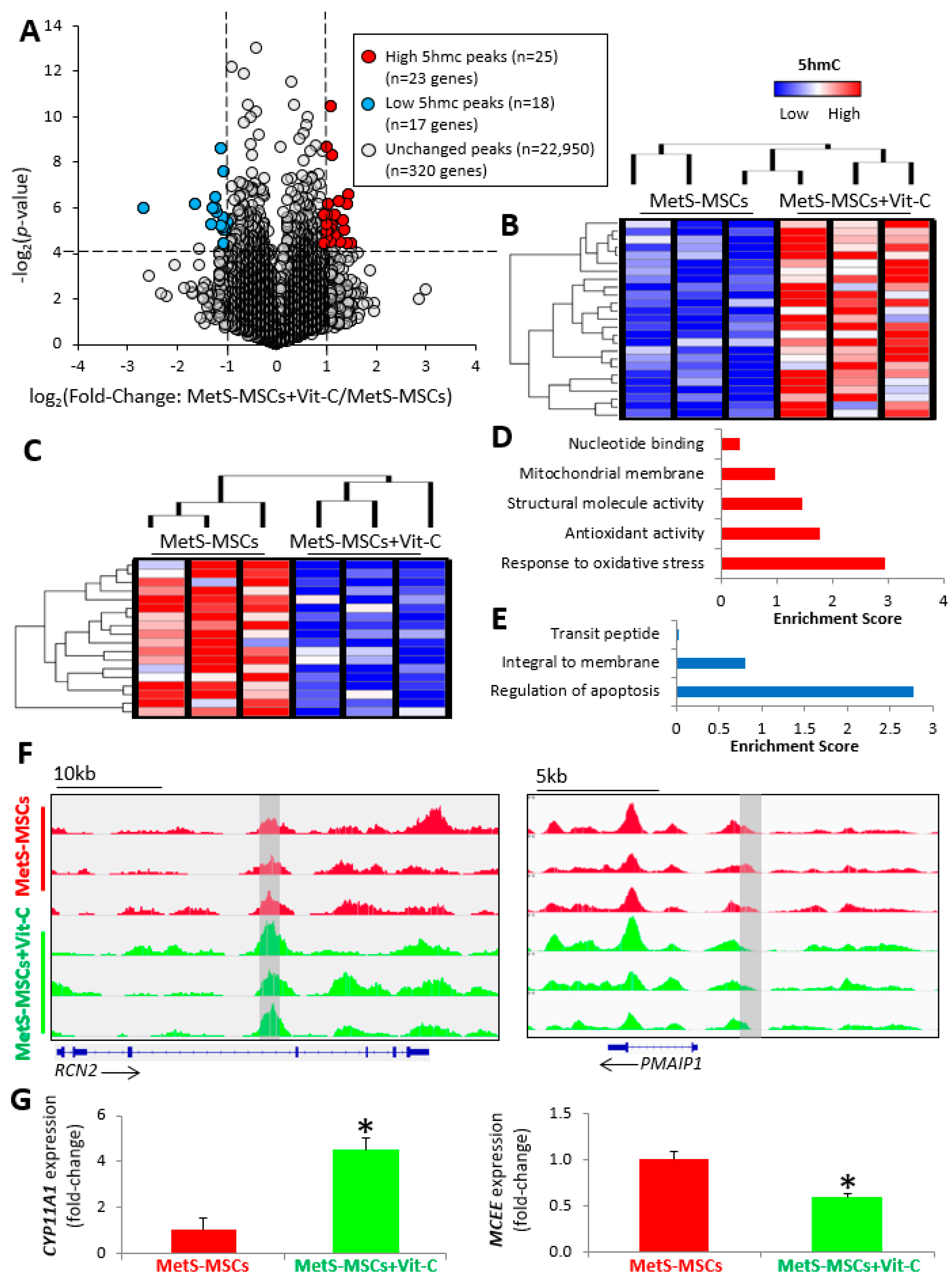 Cells 12 01274 g004 Cells 12 01274 g004