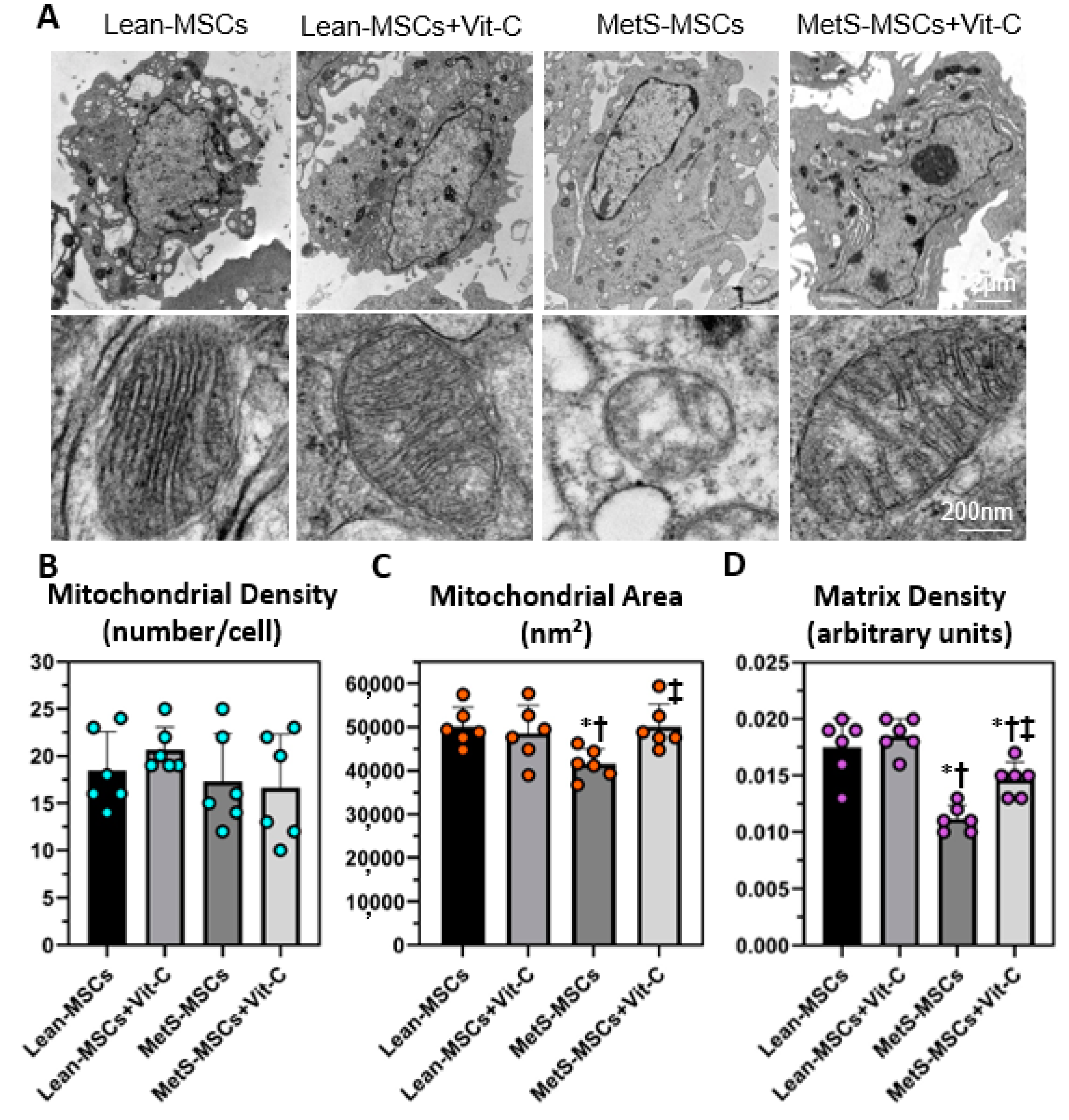 Cells 12 01274 g005 Cells 12 01274 g005