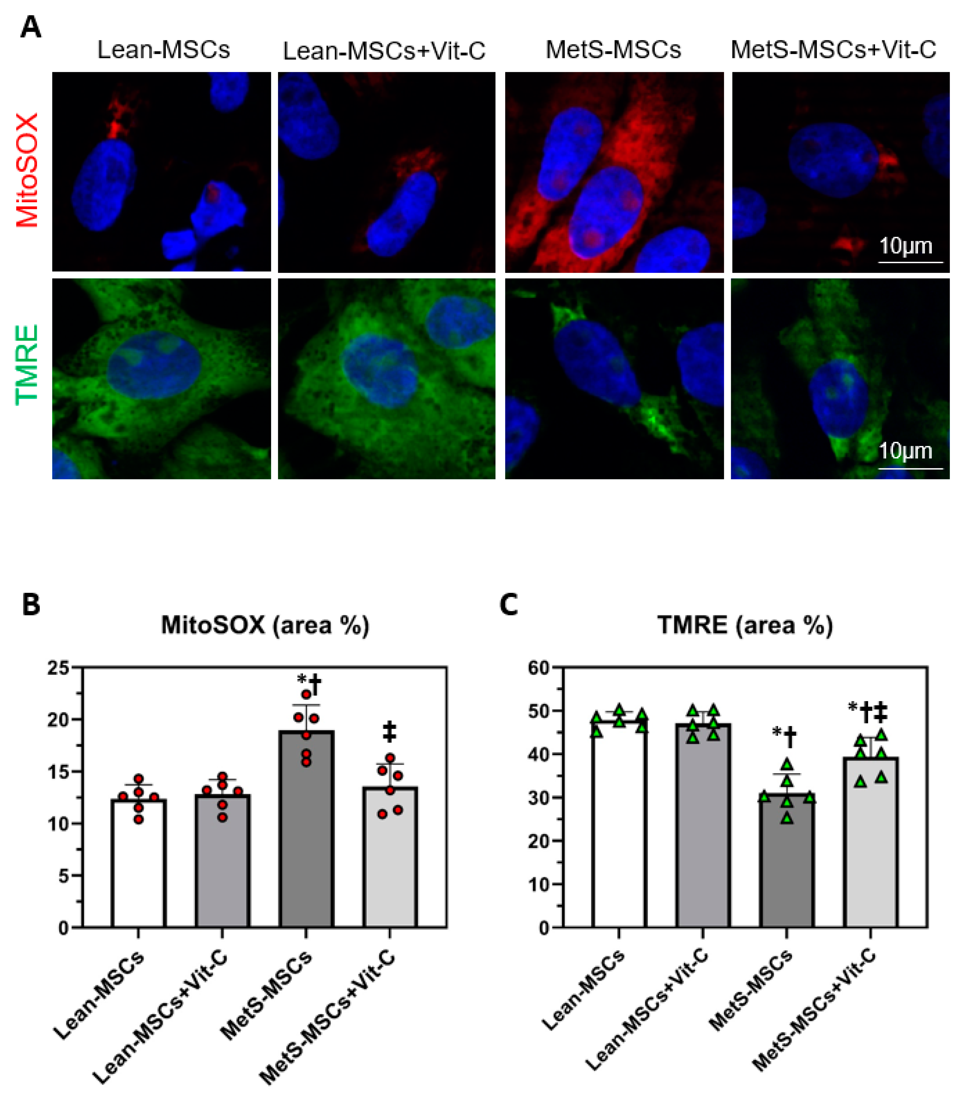 Cells 12 01274 g006 Cells 12 01274 g006