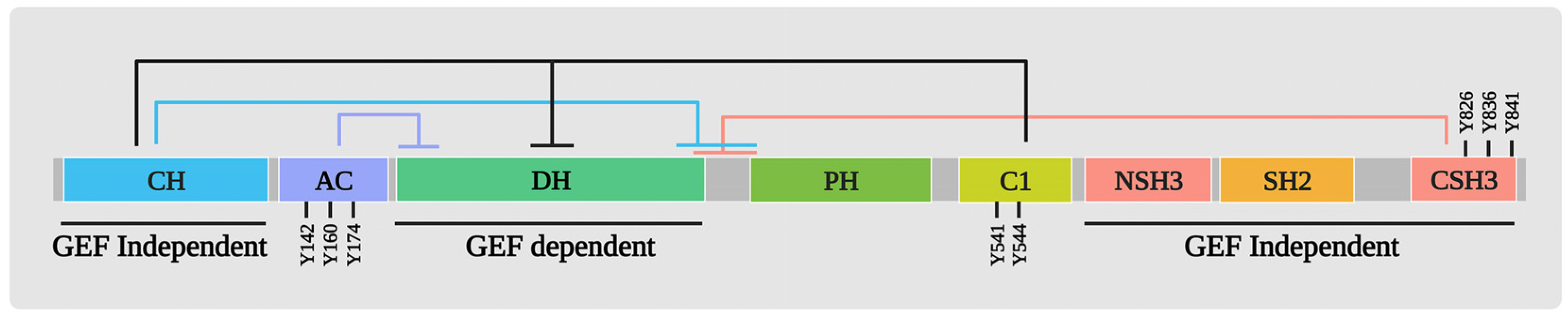 Cells 12 01276 g001 Cells 12 01276 g001