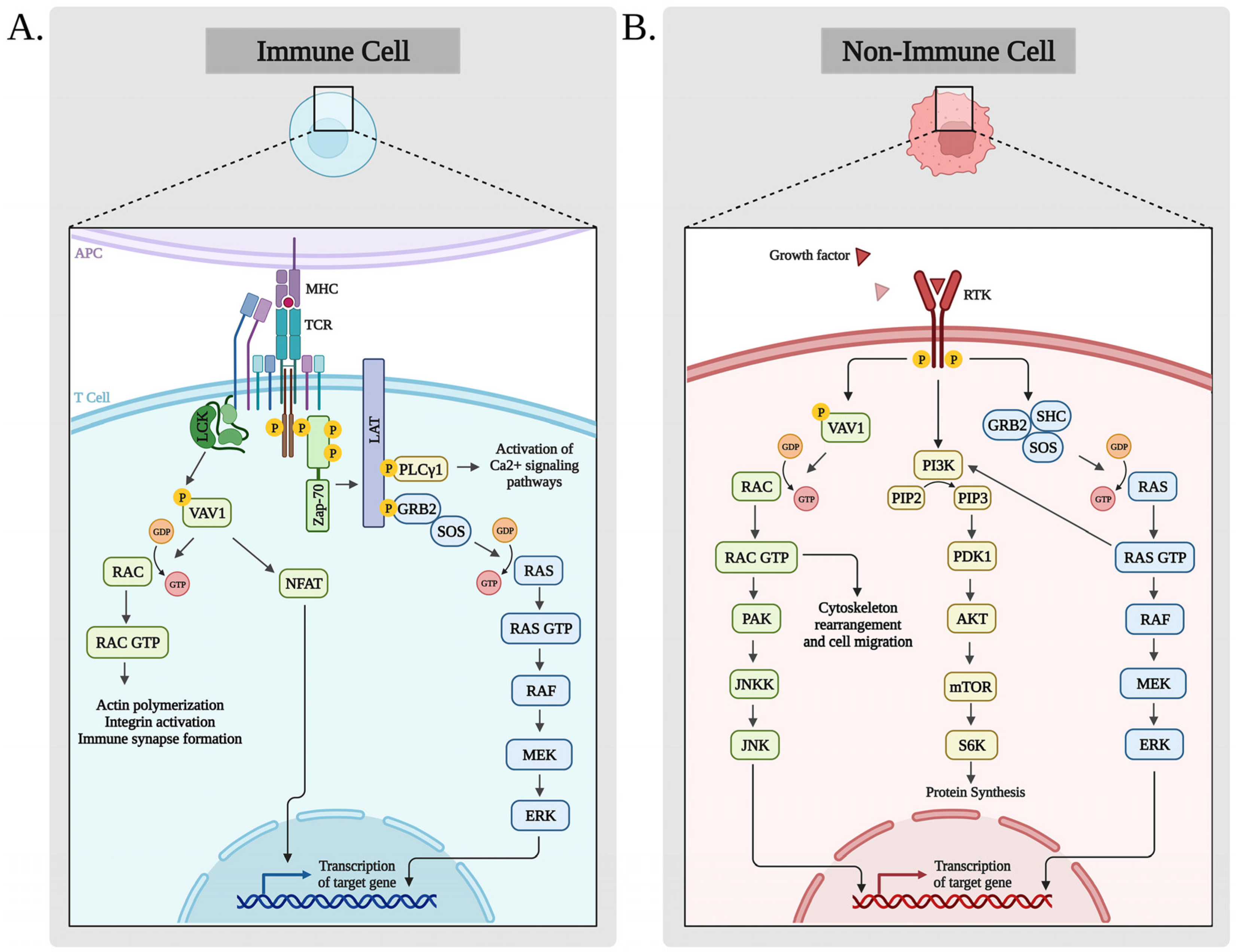 Cells 12 01276 g002 Cells 12 01276 g002