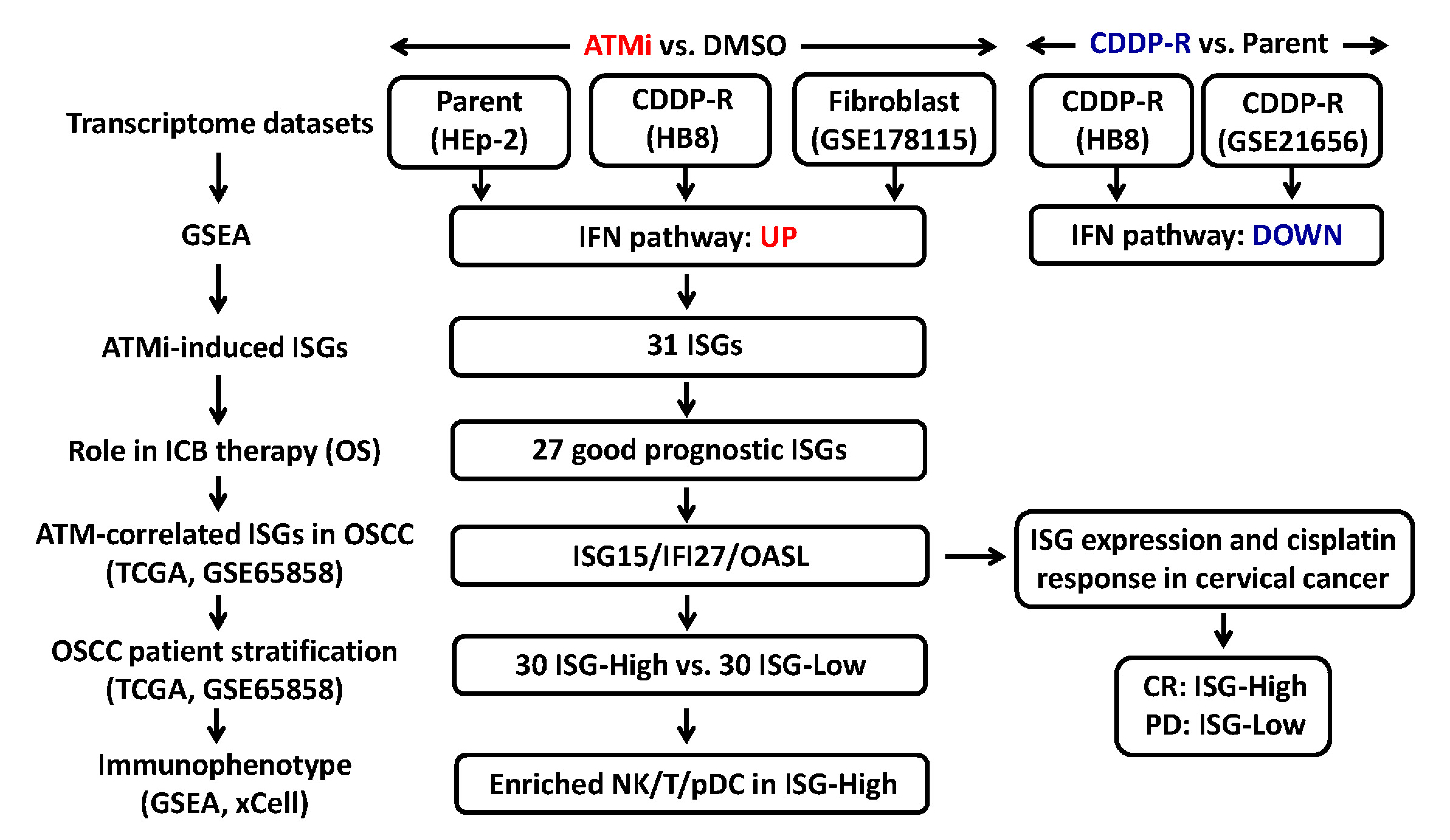 Cells 12 01288 g001 Cells 12 01288 g001