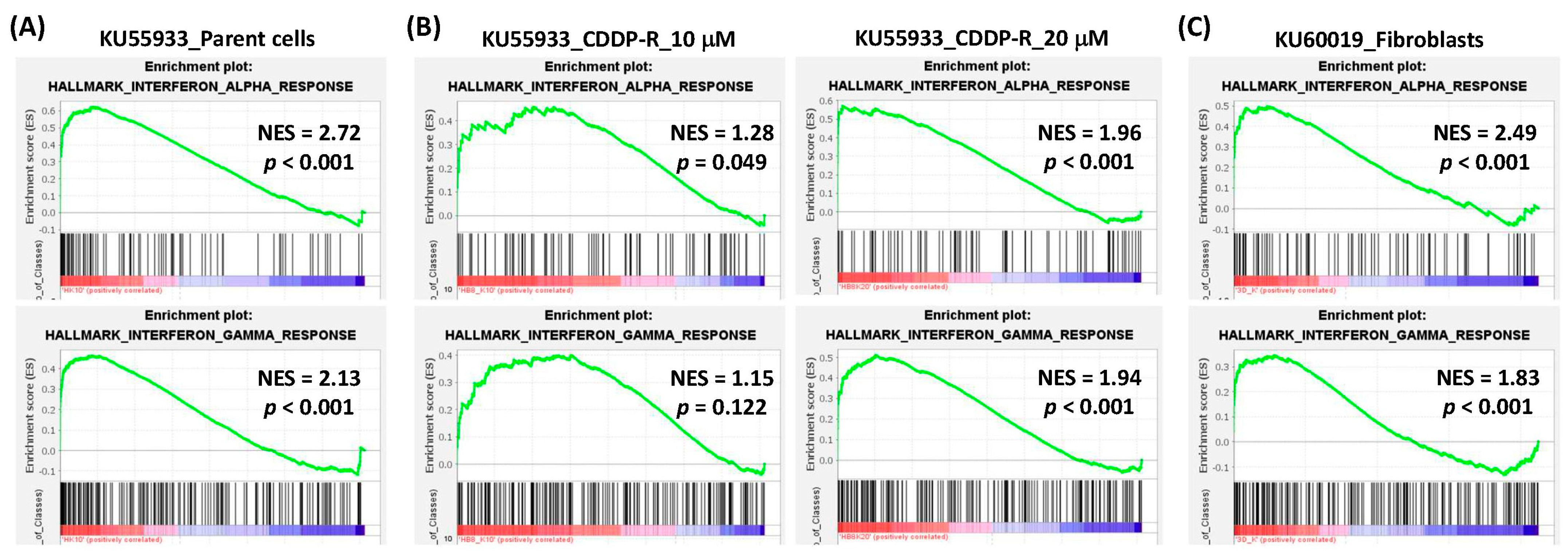 Cells 12 01288 g002 Cells 12 01288 g002