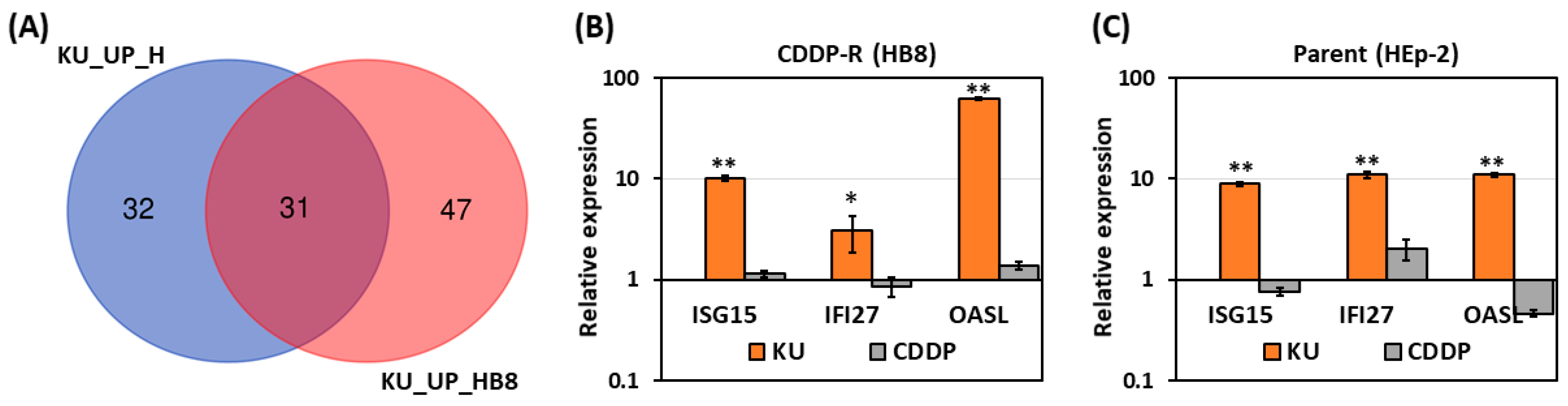 Cells 12 01288 g004 Cells 12 01288 g004