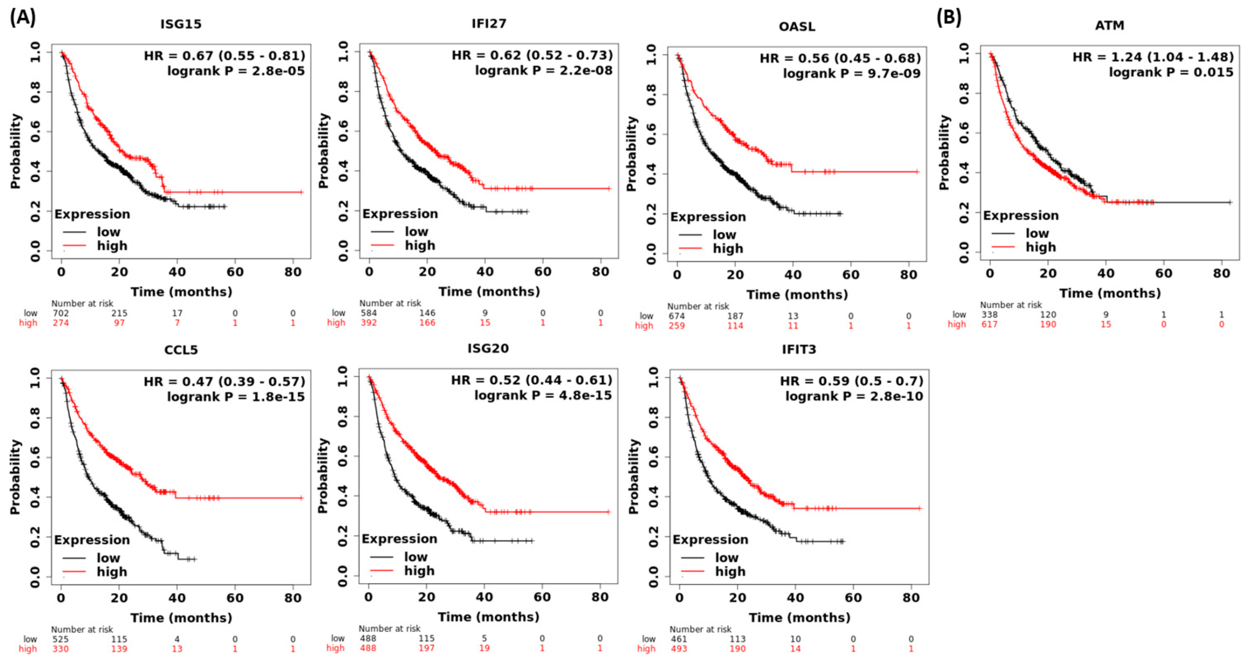 Cells 12 01288 g005 Cells 12 01288 g005