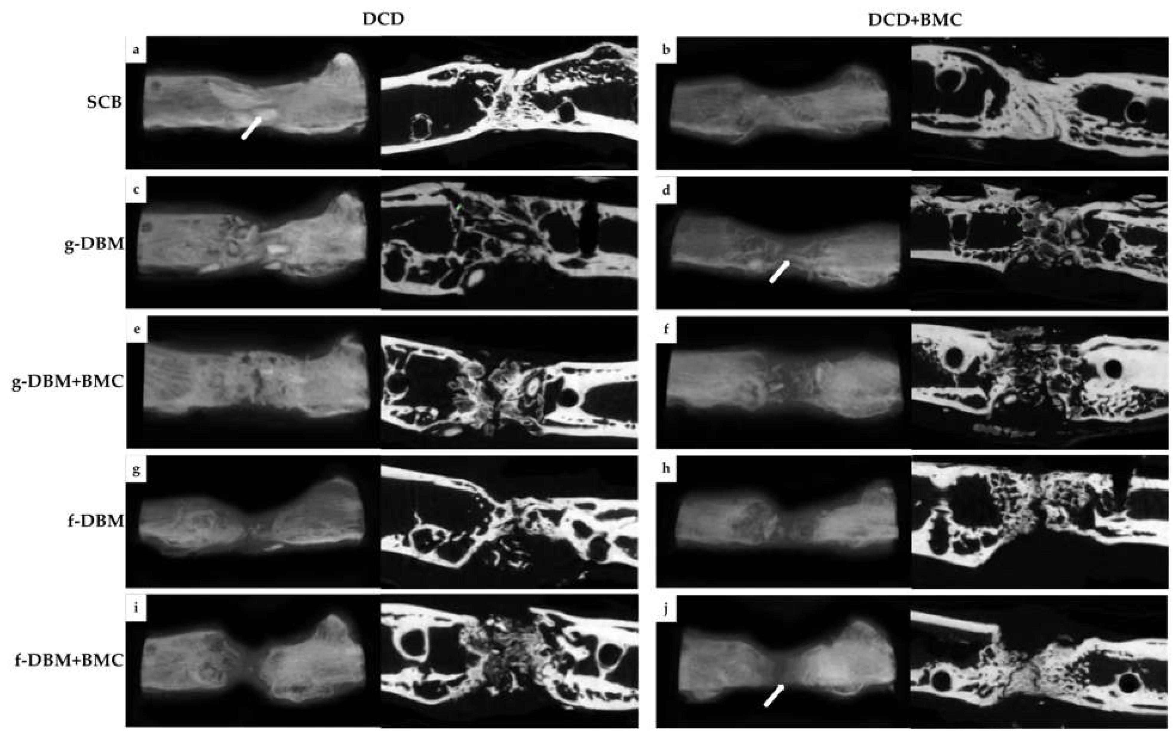 Cells 12 01289 g003 Cells 12 01289 g003