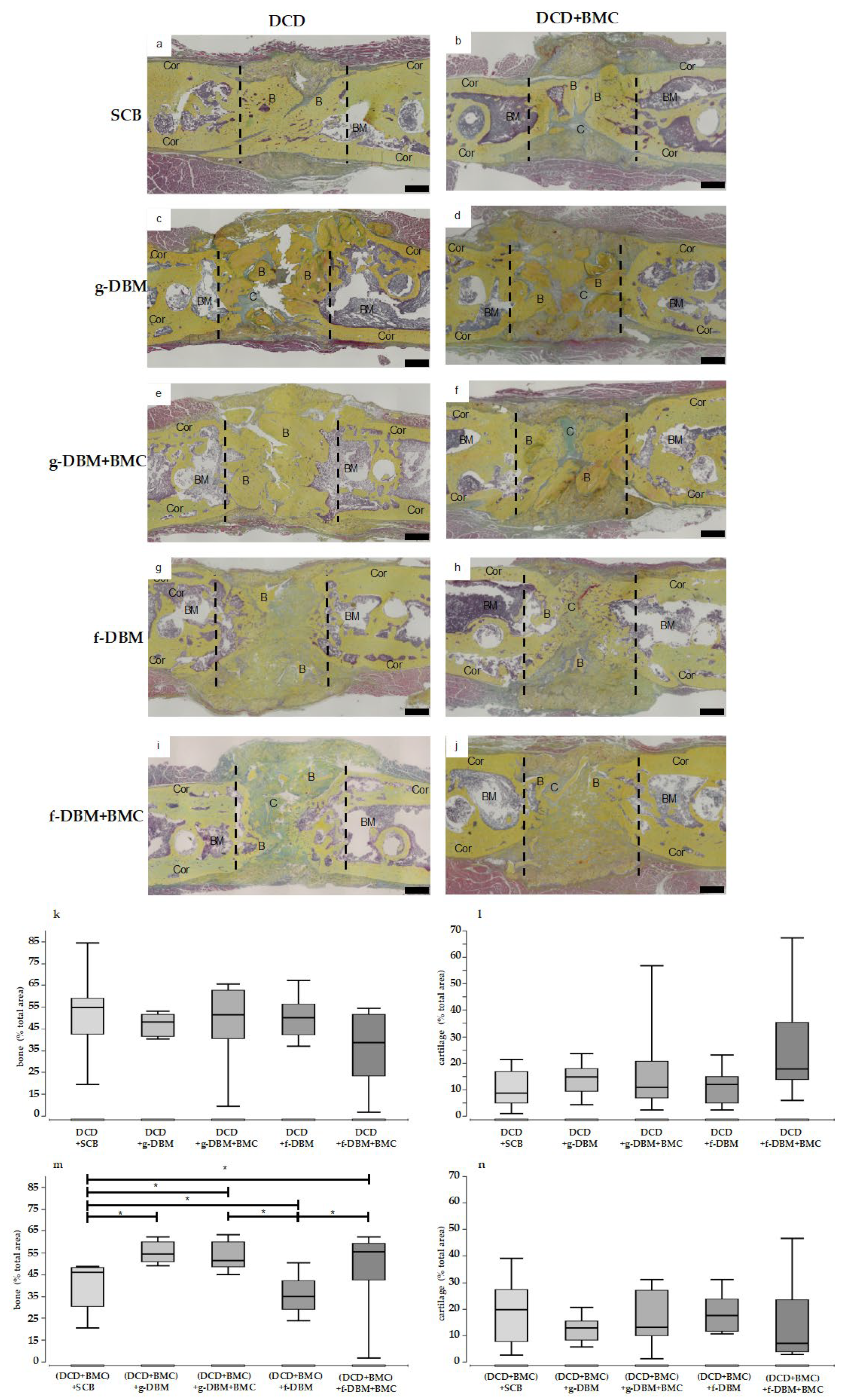 Cells 12 01289 g005 Cells 12 01289 g005