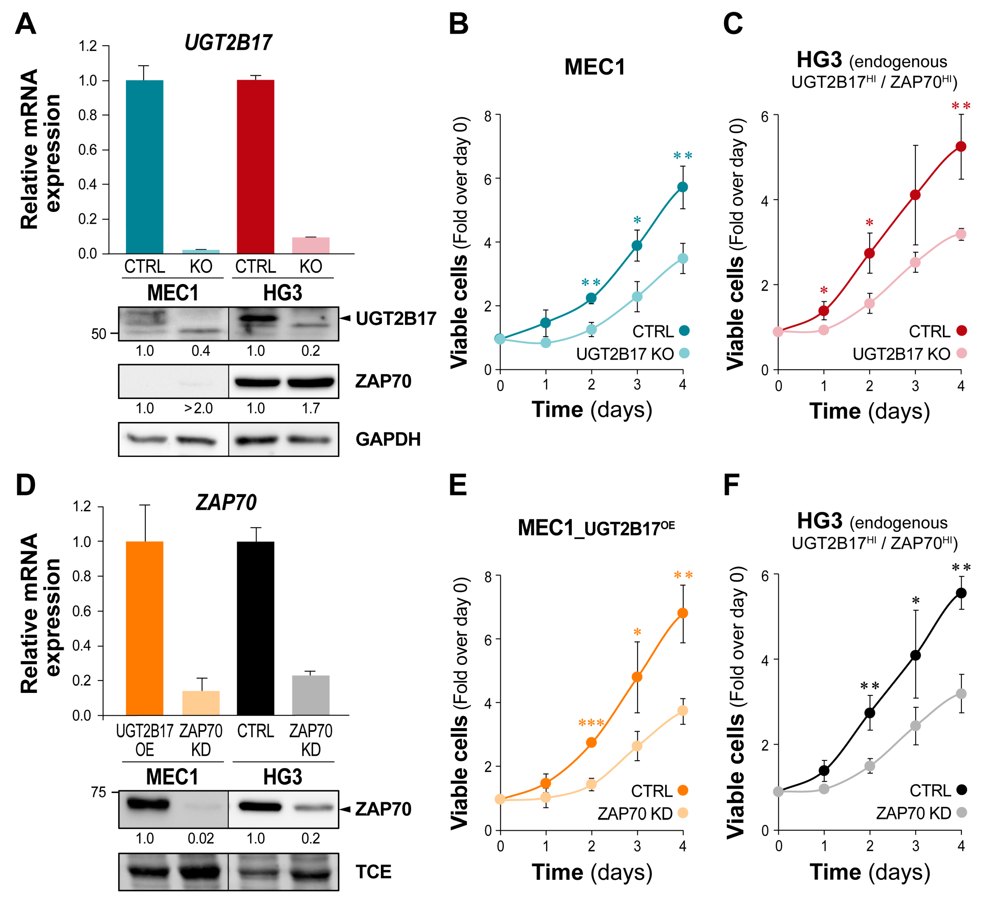 Cells 12 01295 g003 Cells 12 01295 g003