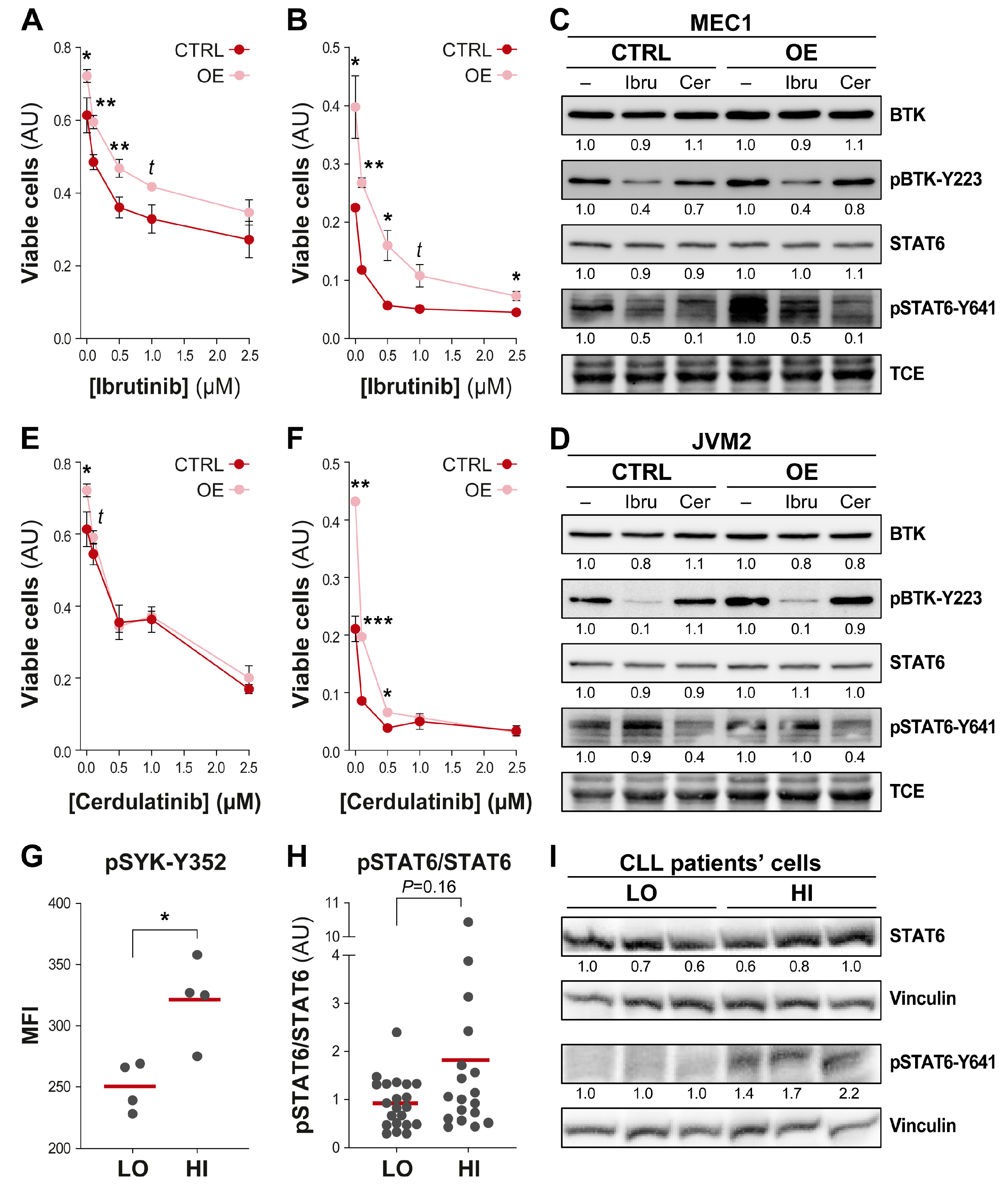Cells 12 01295 g005 Cells 12 01295 g005