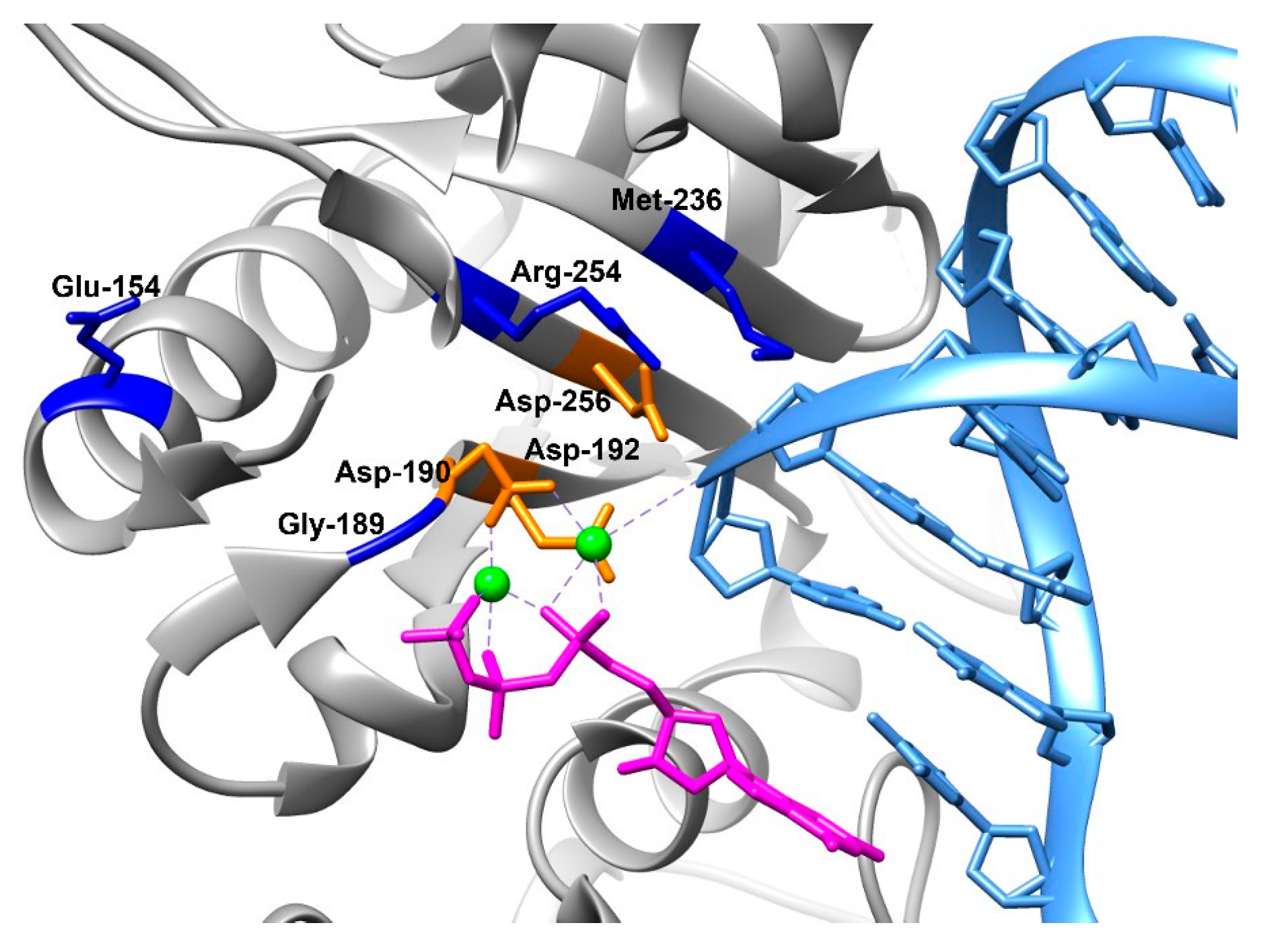 Cells 12 01300 g001 Cells 12 01300 g001