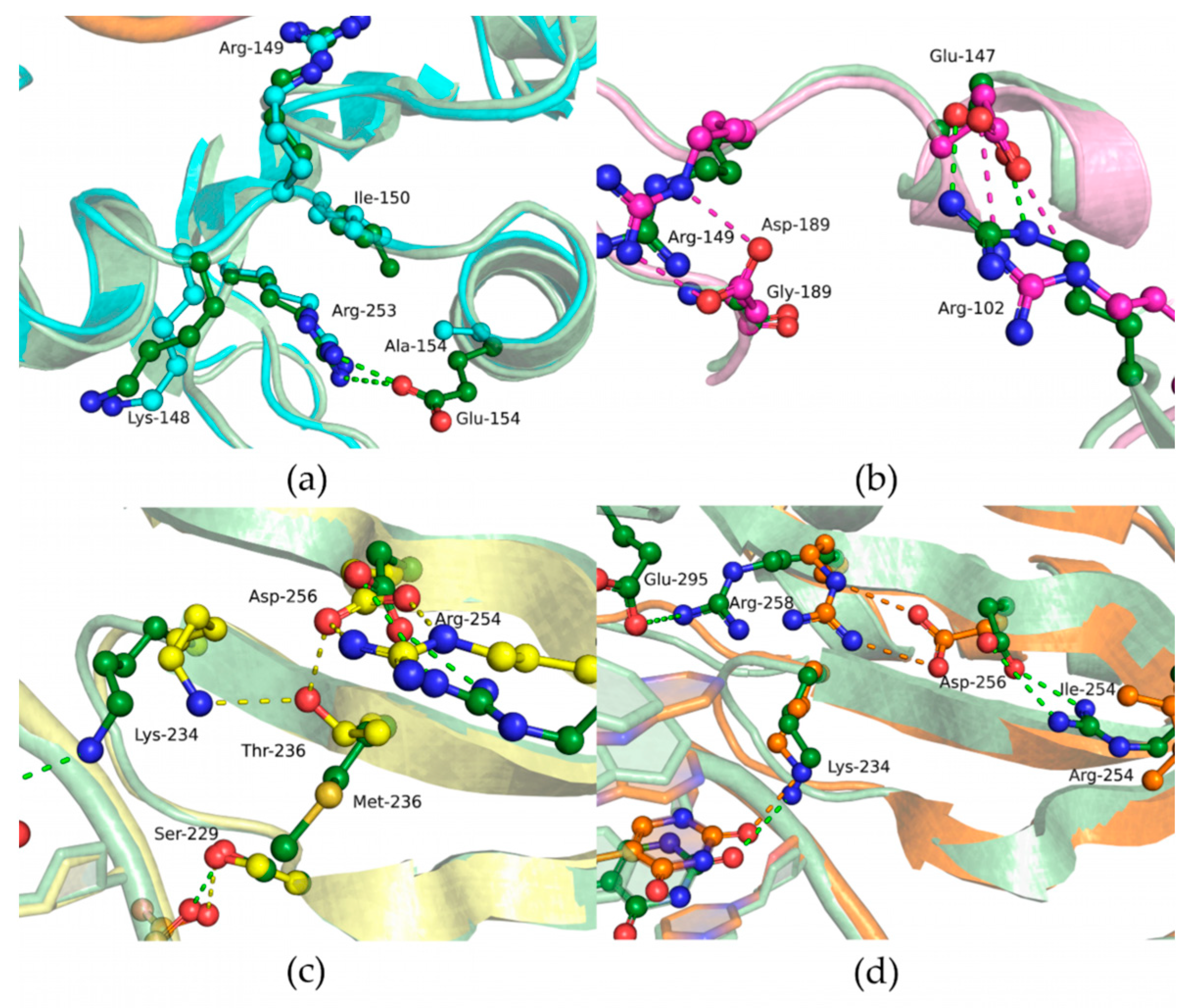 Cells 12 01300 g006 Cells 12 01300 g006