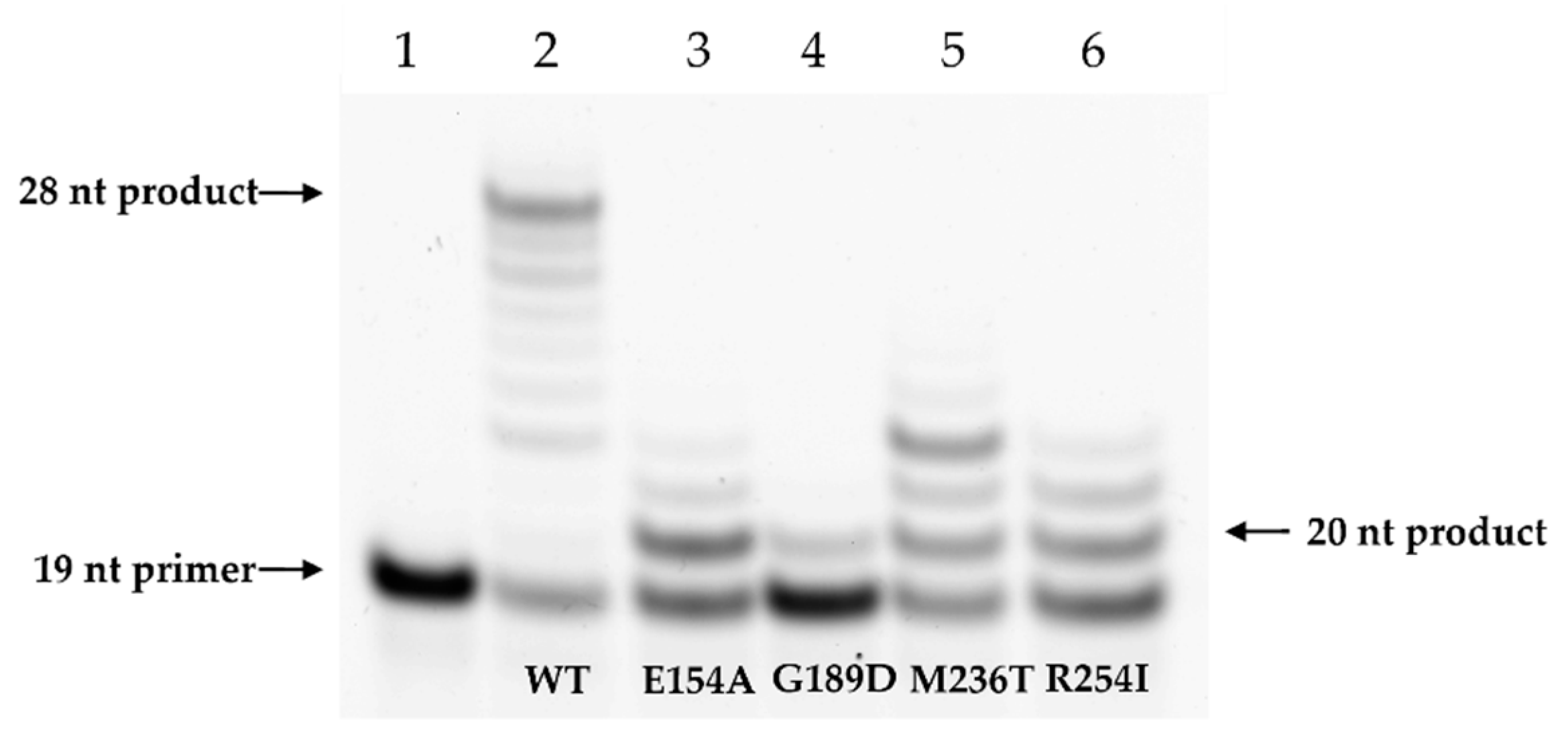 Cells 12 01300 g007 Cells 12 01300 g007
