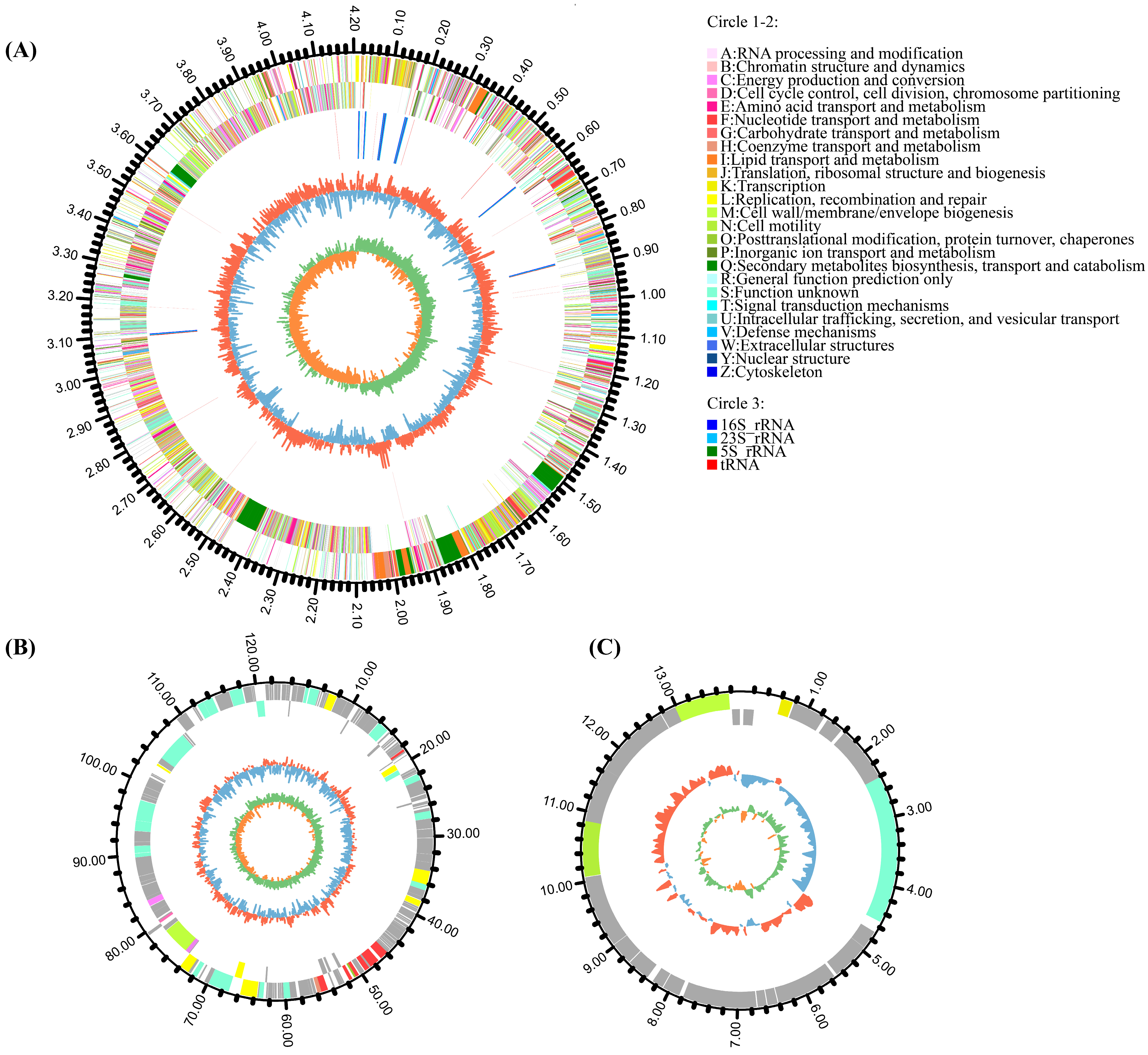 Cells 12 01301 g001 Cells 12 01301 g001