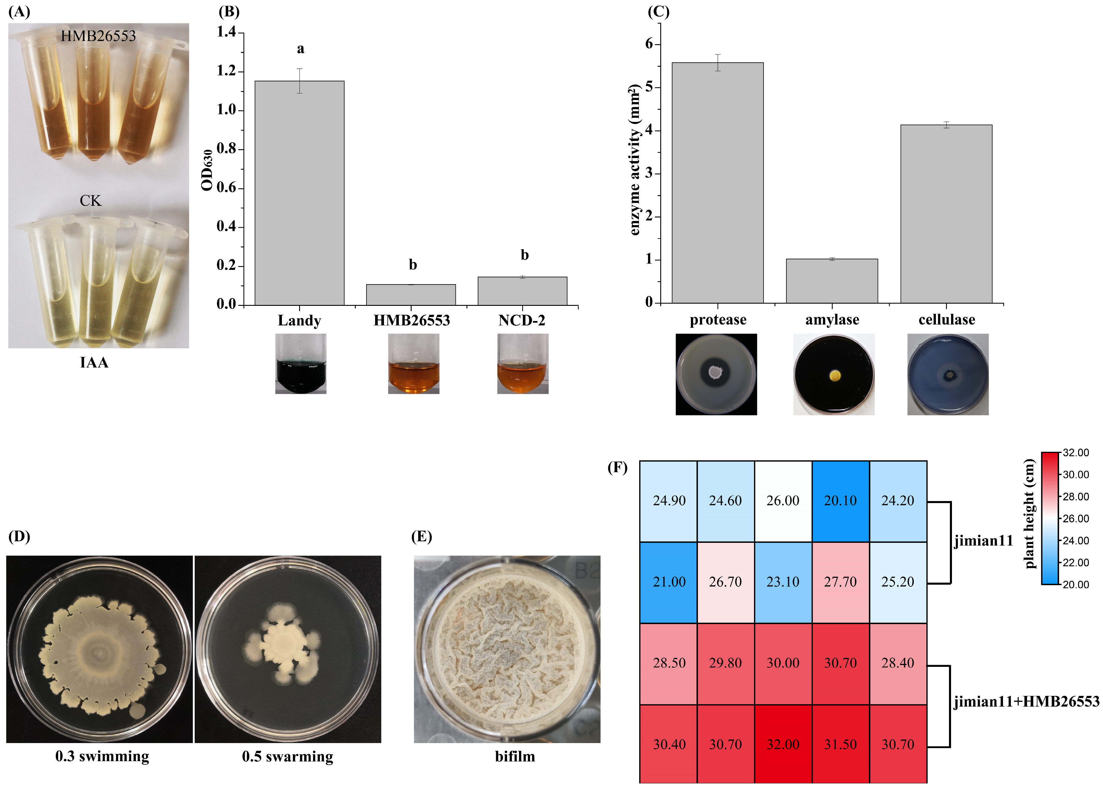 Cells 12 01301 g007 Cells 12 01301 g007