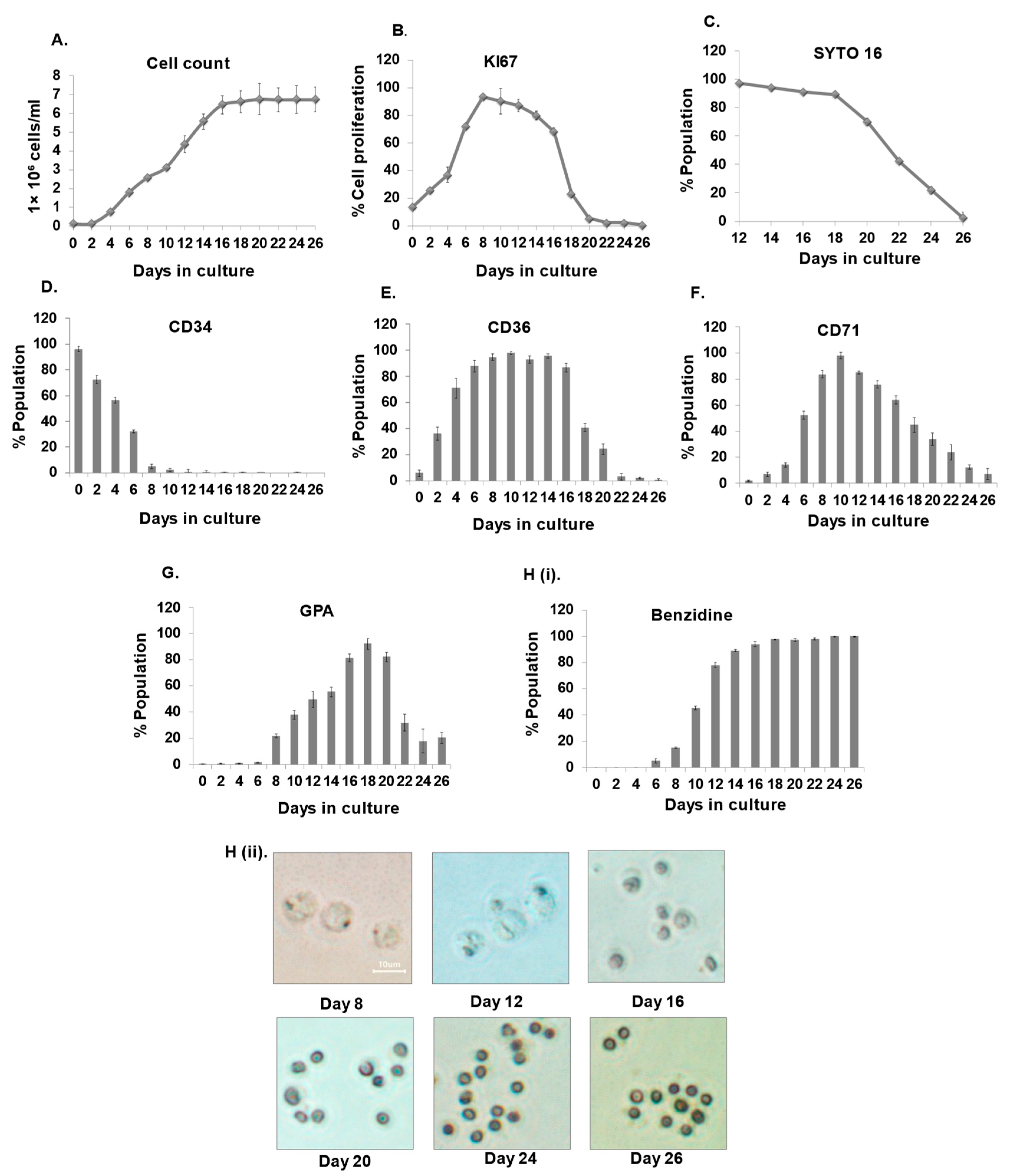 Cells 12 01303 g001 Cells 12 01303 g001
