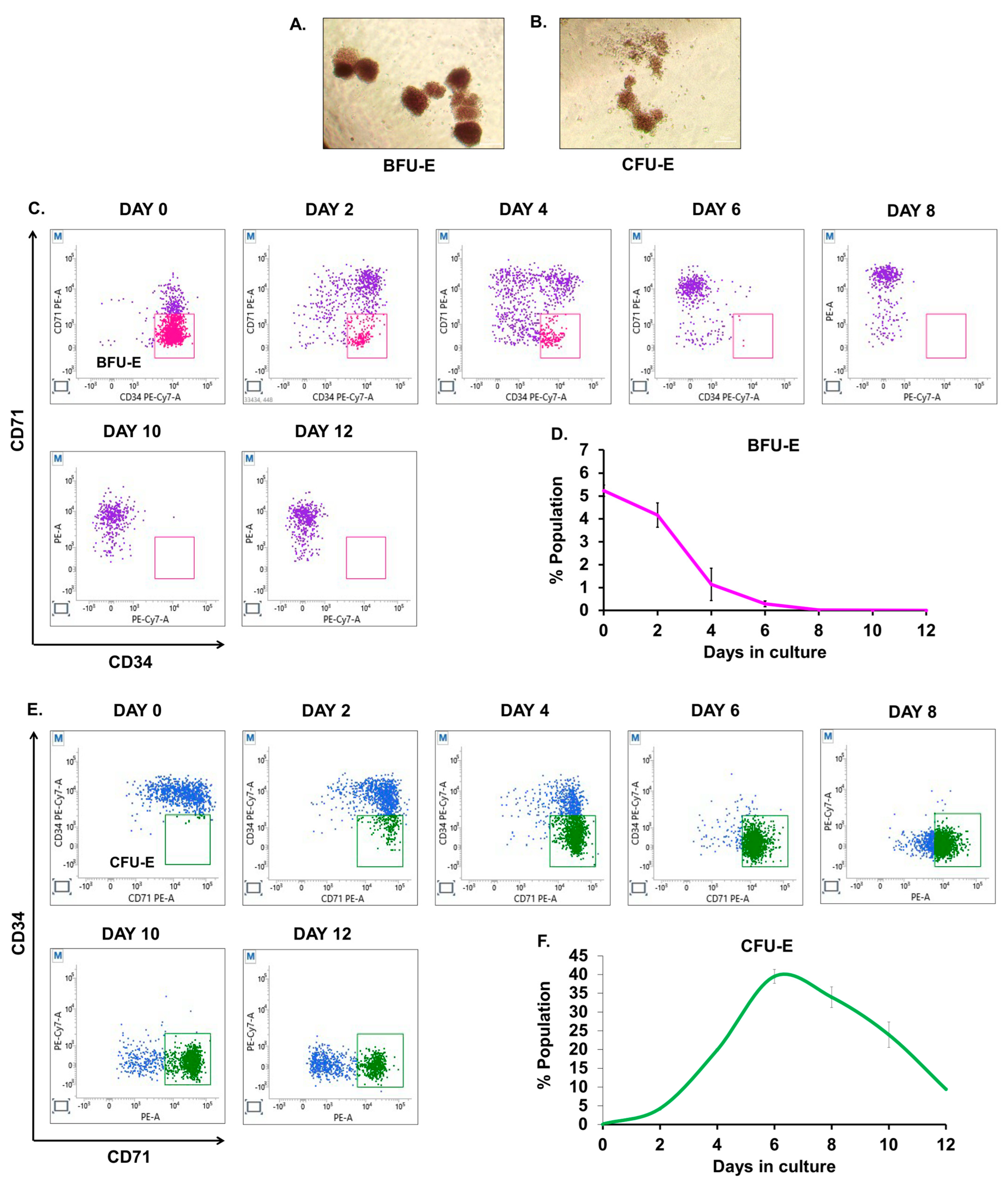 Cells 12 01303 g004a Cells 12 01303 g004a