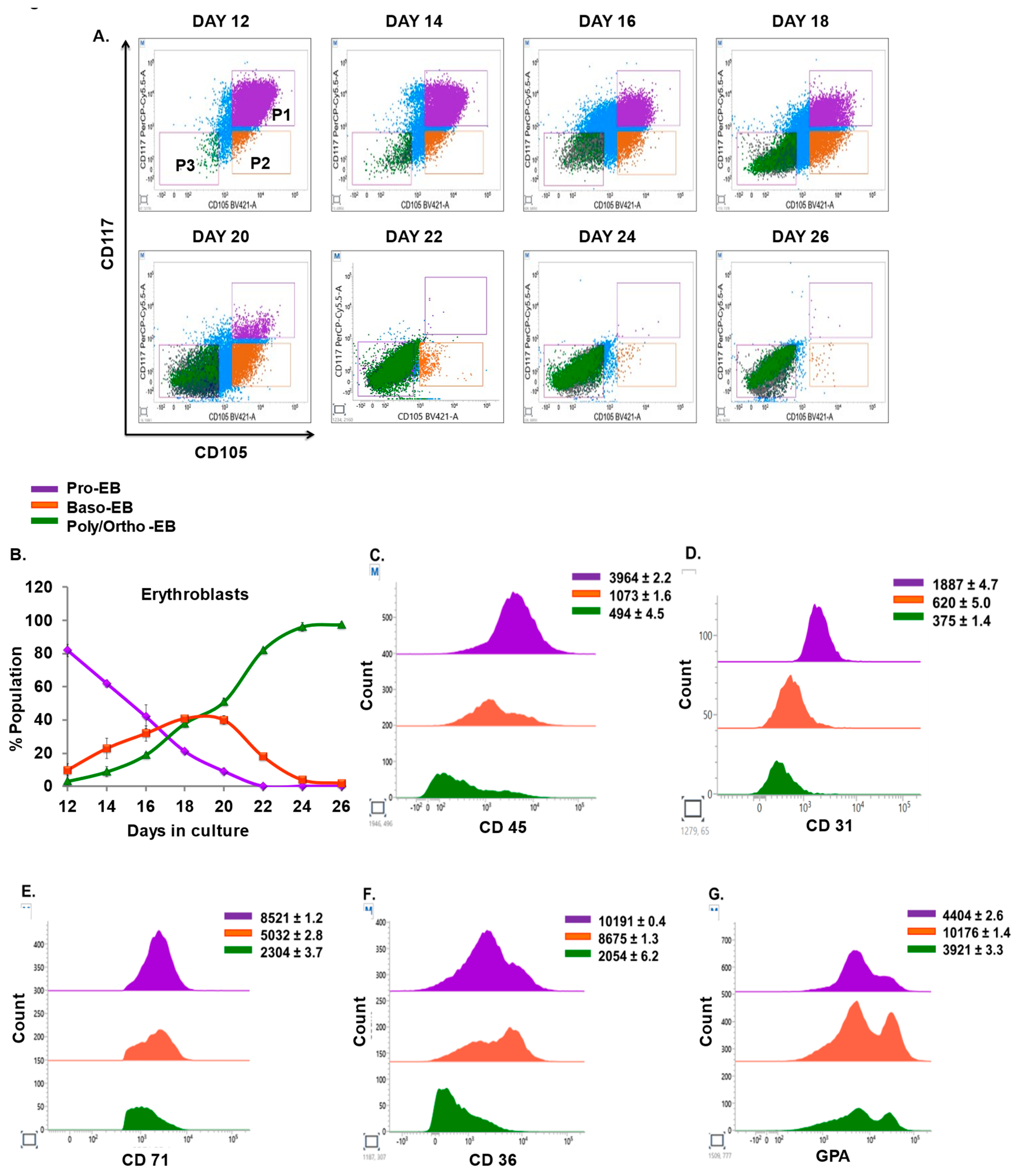 Cells 12 01303 g005a Cells 12 01303 g005a